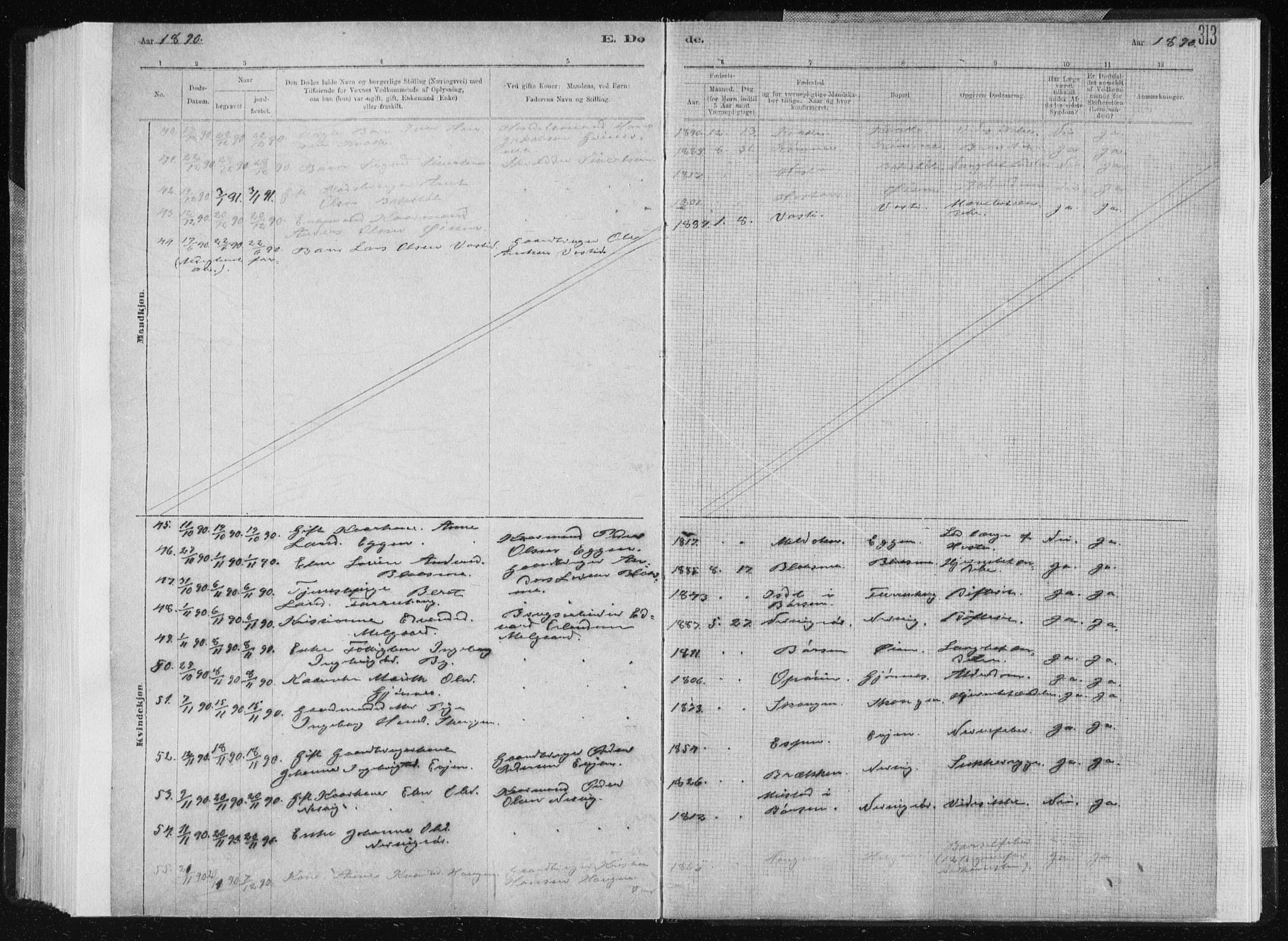 Ministerialprotokoller, klokkerbøker og fødselsregistre - Sør-Trøndelag, AV/SAT-A-1456/668/L0818: Parish register (copy) no. 668C07, 1885-1898, p. 313