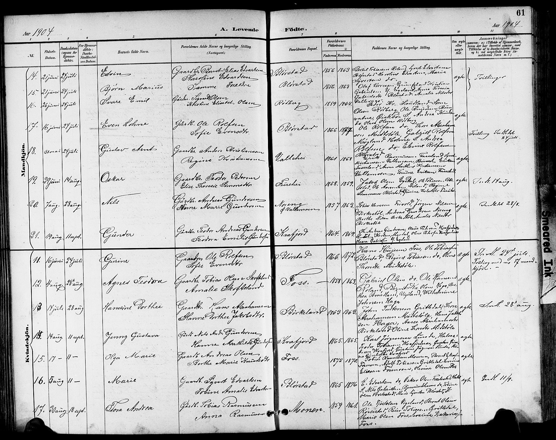 Sør-Audnedal sokneprestkontor, AV/SAK-1111-0039/F/Fb/Fbb/L0006: Parish register (copy) no. B 6, 1893-1915, p. 61