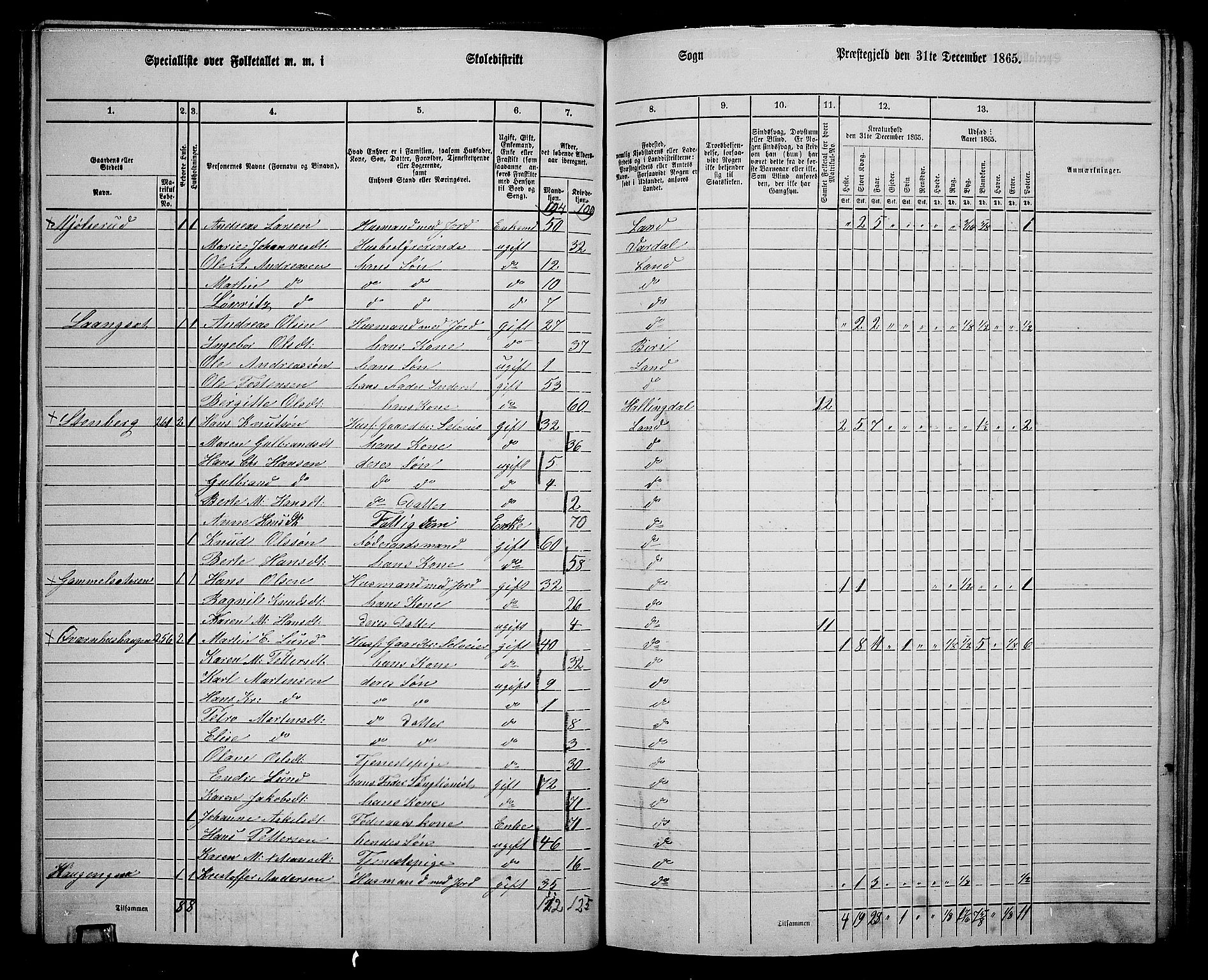 RA, 1865 census for Land, 1865, p. 297