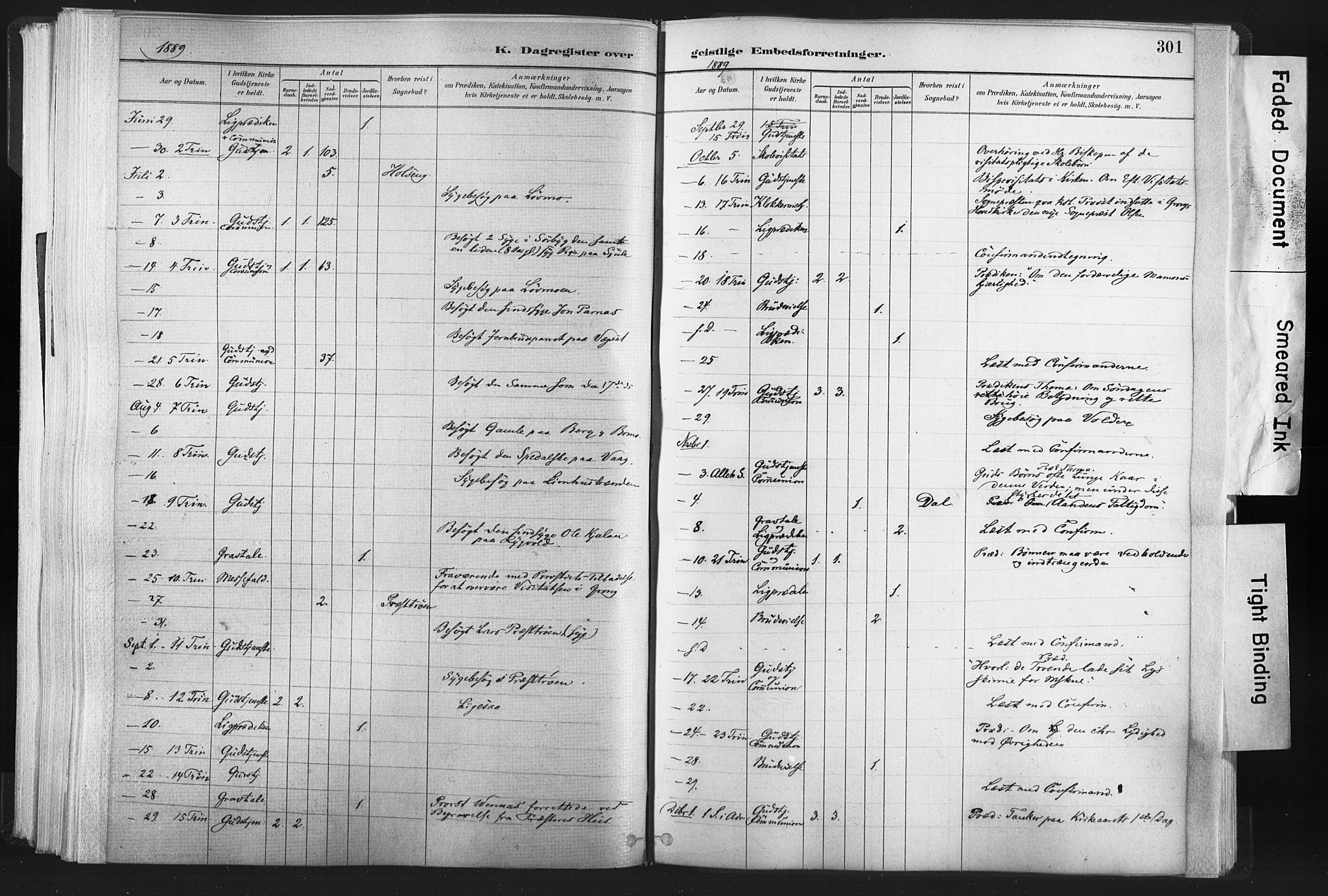 Ministerialprotokoller, klokkerbøker og fødselsregistre - Nord-Trøndelag, SAT/A-1458/749/L0474: Parish register (official) no. 749A08, 1887-1903, p. 301