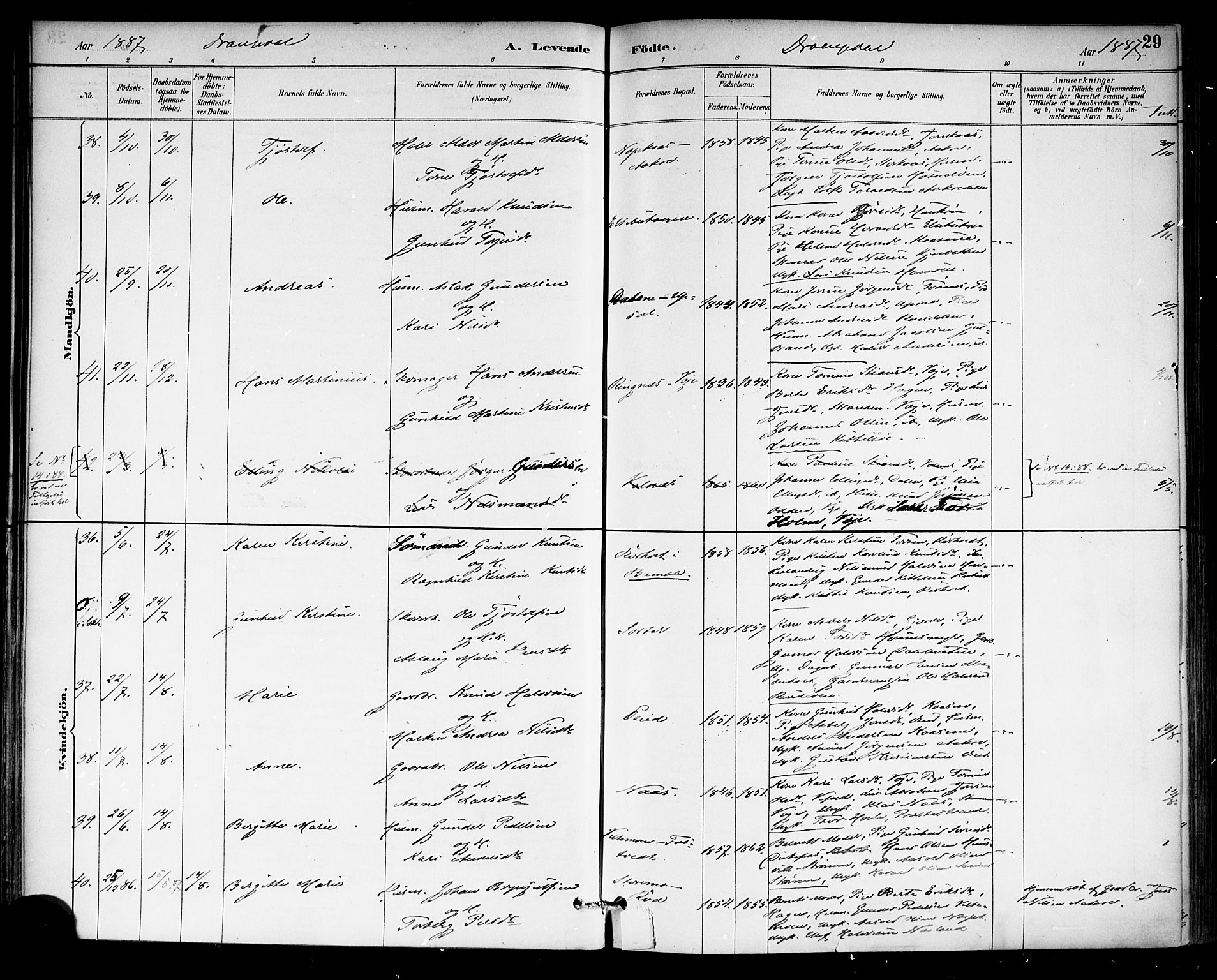 Drangedal kirkebøker, SAKO/A-258/F/Fa/L0010: Parish register (official) no. 10 /1, 1885-1894, p. 29