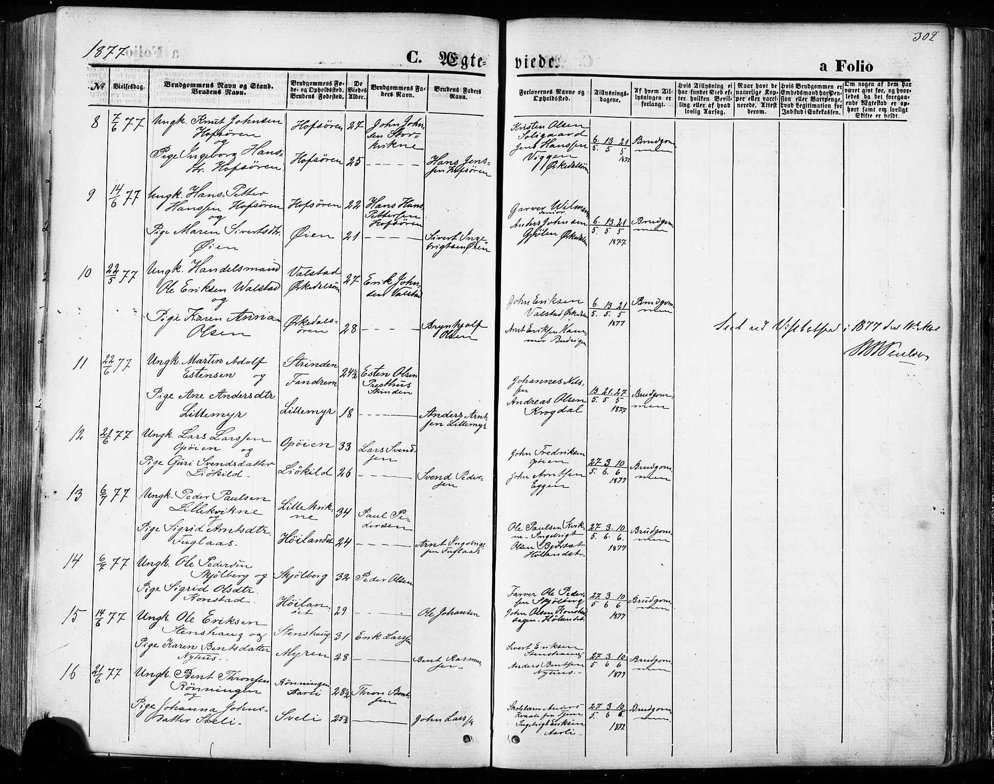 Ministerialprotokoller, klokkerbøker og fødselsregistre - Sør-Trøndelag, SAT/A-1456/668/L0807: Parish register (official) no. 668A07, 1870-1880, p. 302