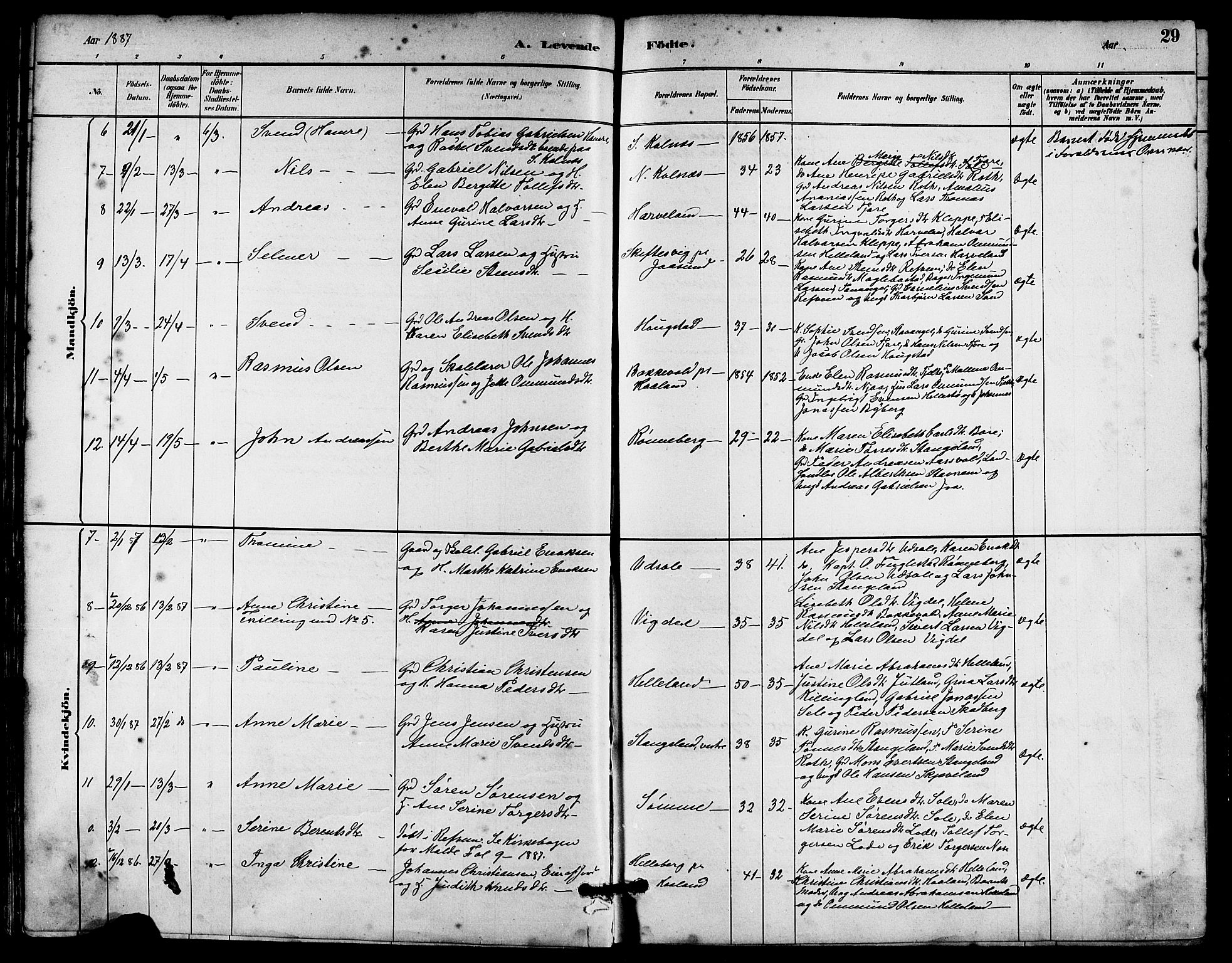 Håland sokneprestkontor, AV/SAST-A-101802/001/30BA/L0010: Parish register (official) no. A 9, 1883-1888, p. 29