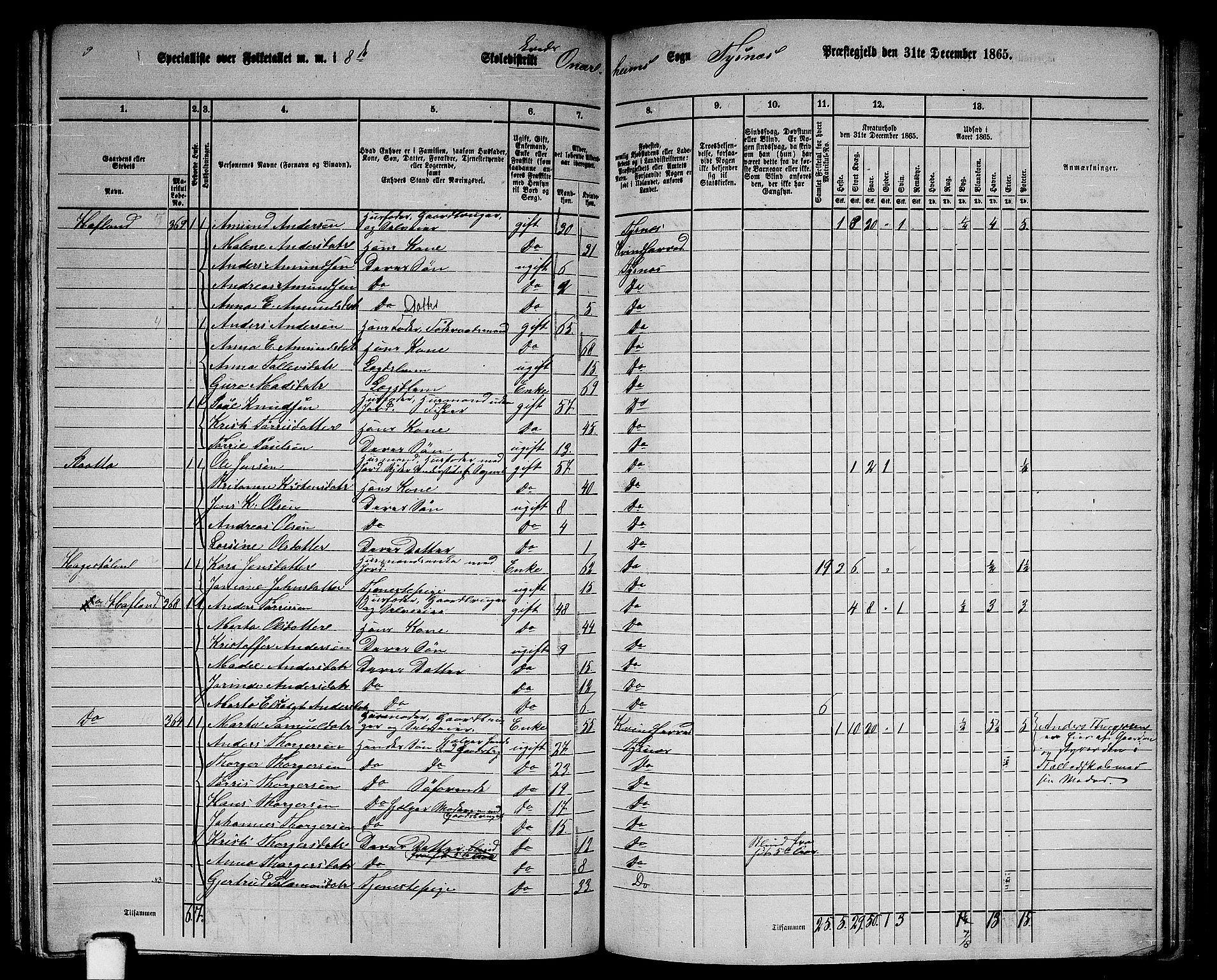 RA, 1865 census for Tysnes, 1865, p. 146