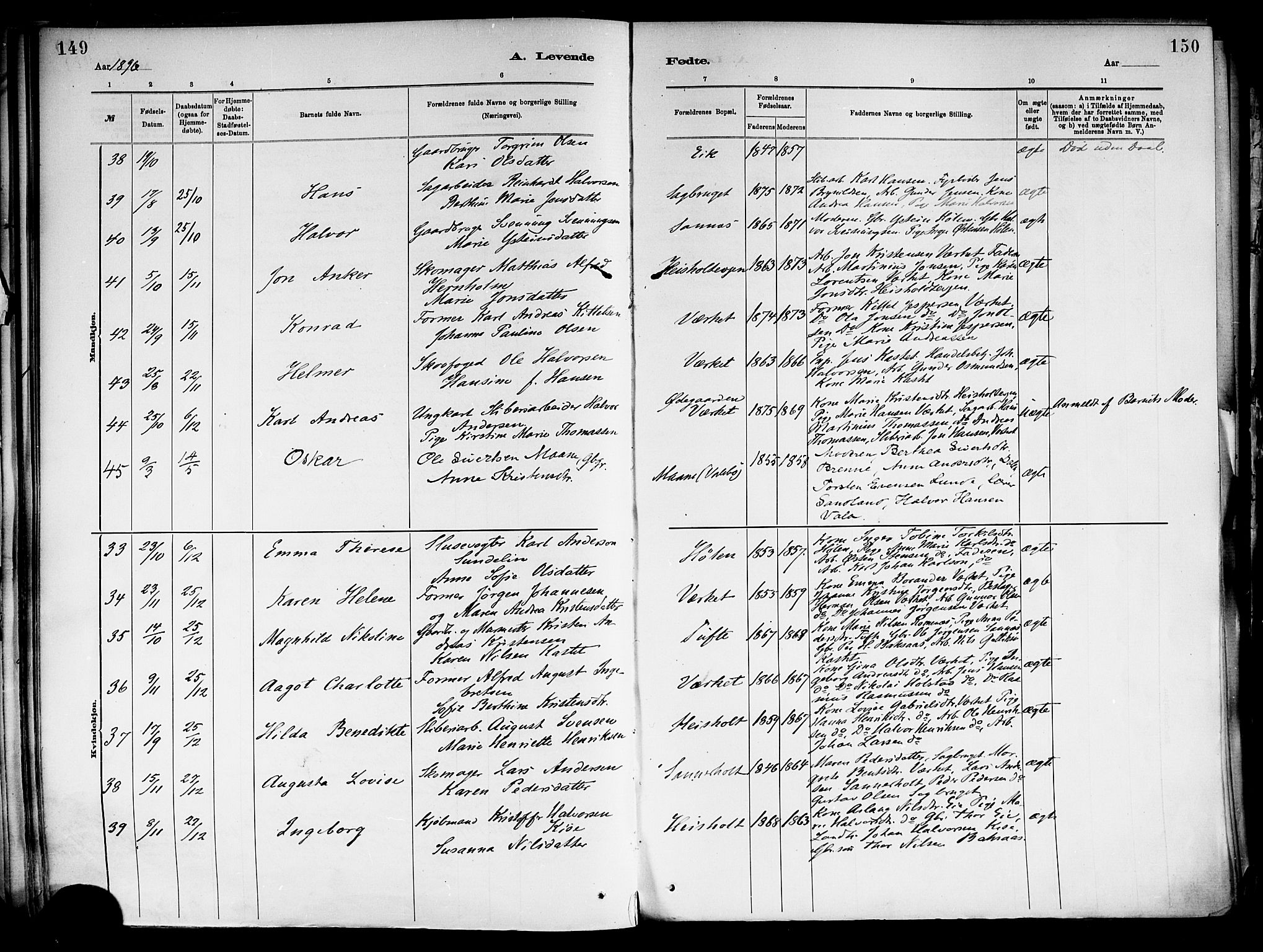 Holla kirkebøker, SAKO/A-272/F/Fa/L0008: Parish register (official) no. 8, 1882-1897, p. 149