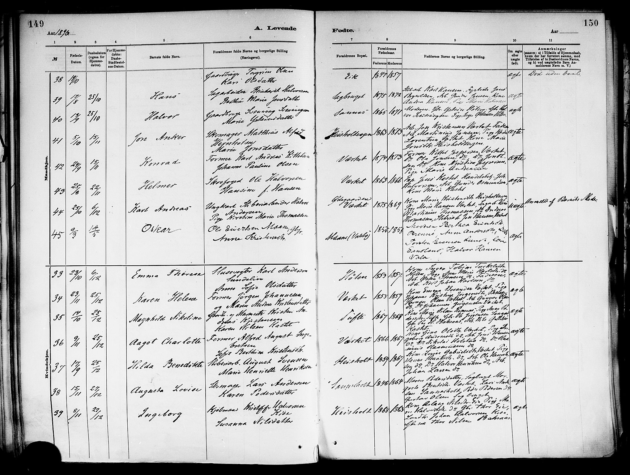 Holla kirkebøker, AV/SAKO-A-272/F/Fa/L0008: Parish register (official) no. 8, 1882-1897, p. 149