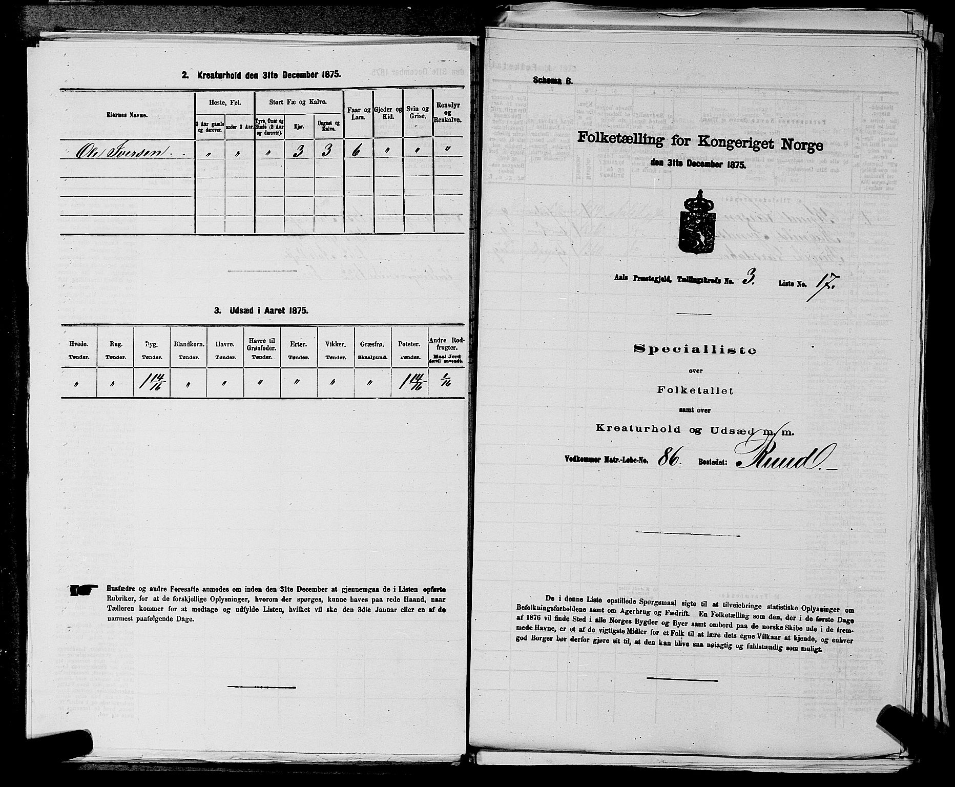 SAKO, 1875 census for 0619P Ål, 1875, p. 349