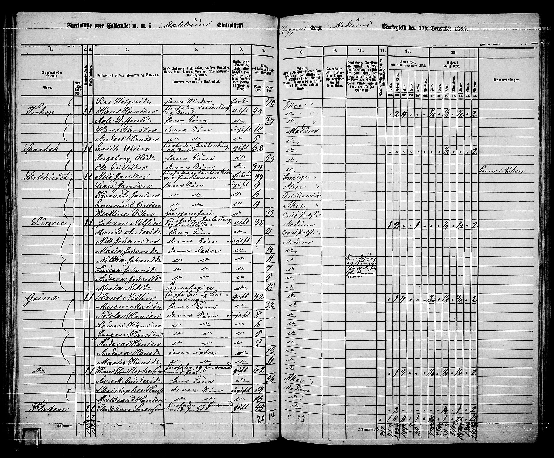 RA, 1865 census for Modum, 1865, p. 87