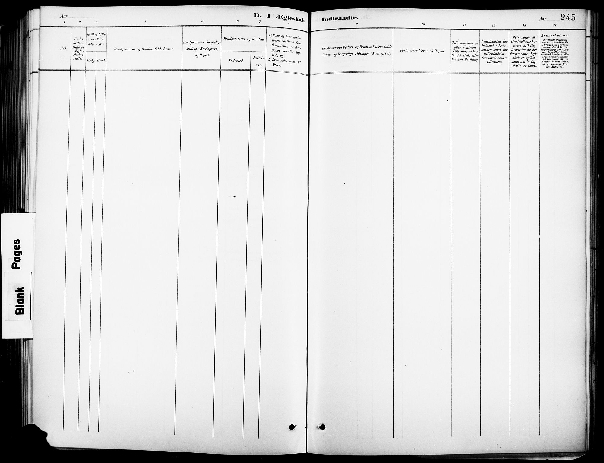 Vinger prestekontor, AV/SAH-PREST-024/H/Ha/Hab/L0003: Parish register (copy) no. 3, 1895-1920, p. 245