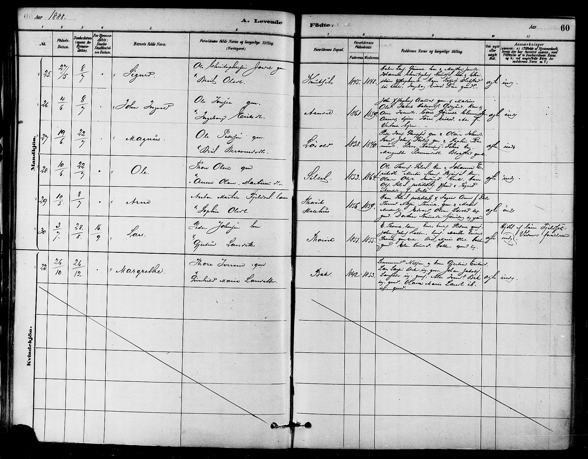 Ministerialprotokoller, klokkerbøker og fødselsregistre - Møre og Romsdal, AV/SAT-A-1454/584/L0967: Parish register (official) no. 584A07, 1879-1894, p. 60