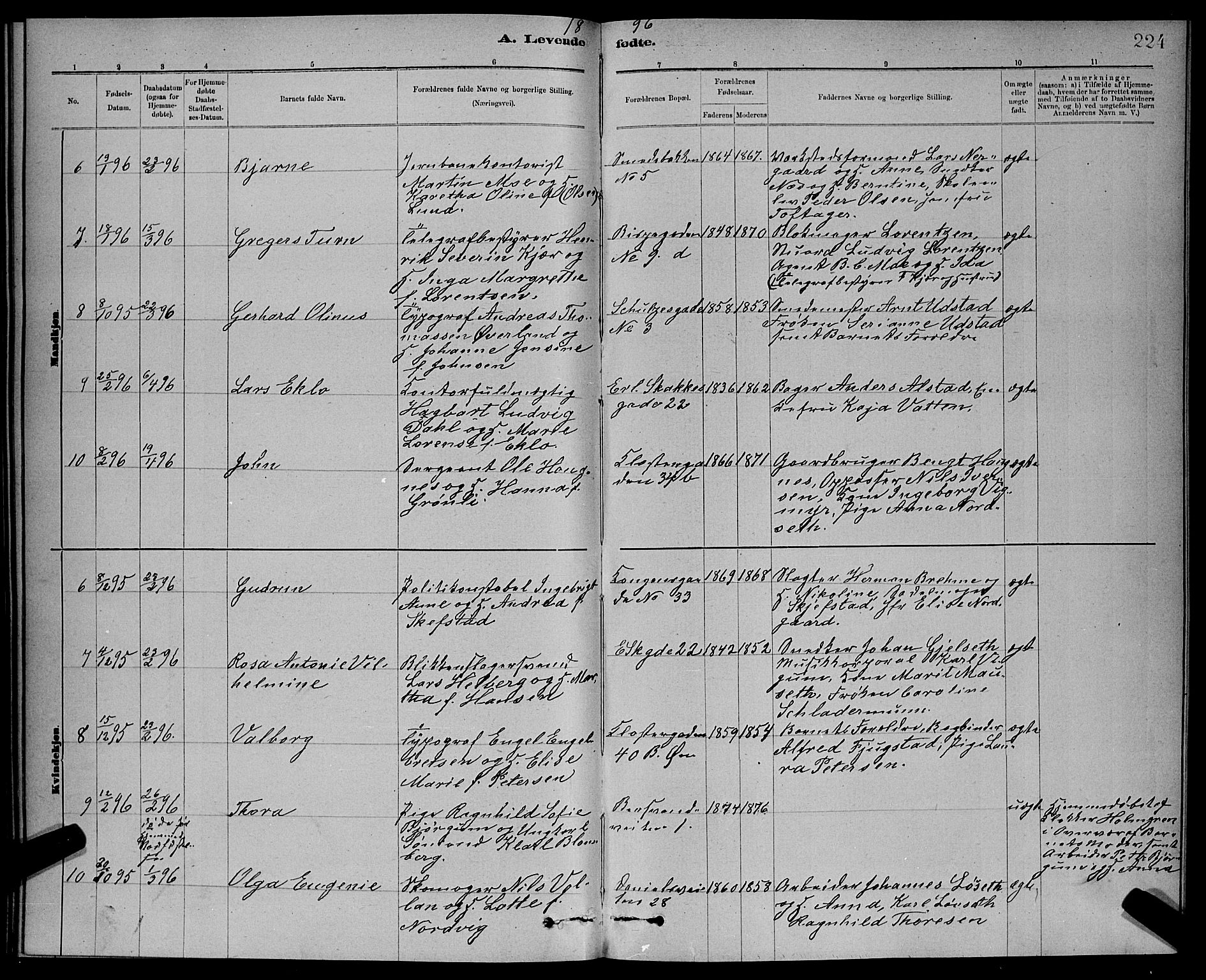Ministerialprotokoller, klokkerbøker og fødselsregistre - Sør-Trøndelag, SAT/A-1456/601/L0092: Parish register (copy) no. 601C10, 1884-1897, p. 224