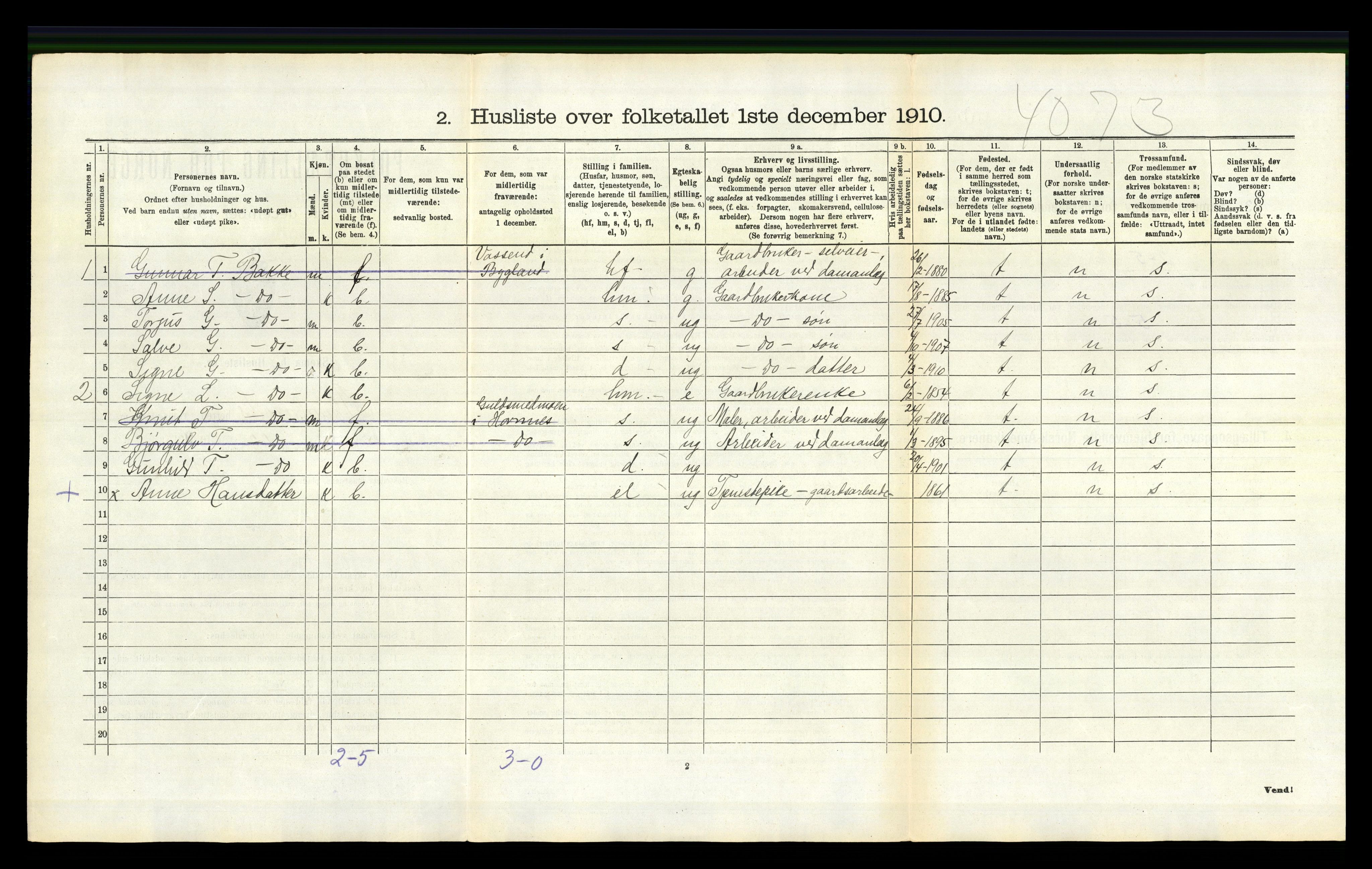 RA, 1910 census for Bygland, 1910, p. 206