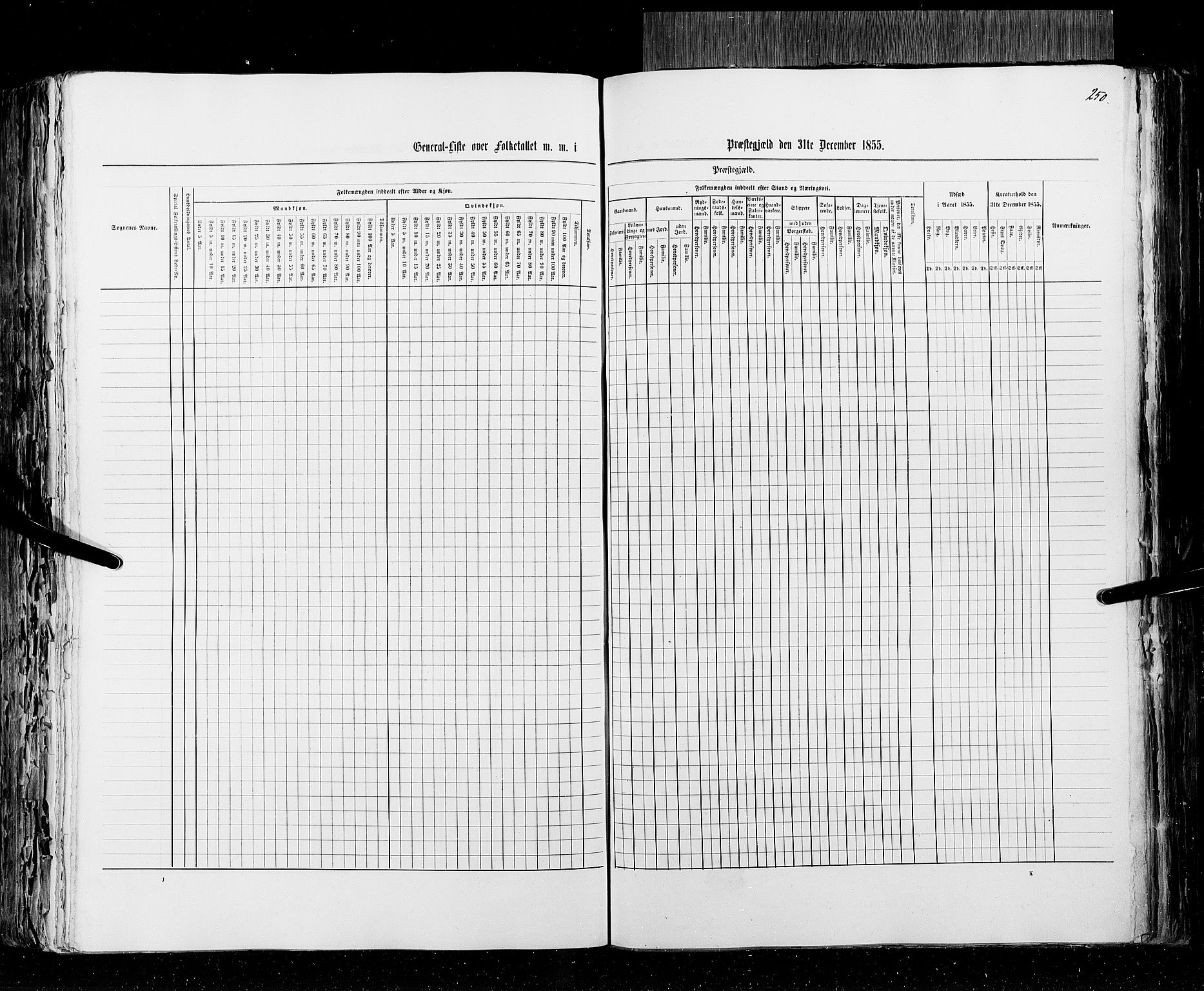 RA, Census 1855, vol. 2: Kristians amt, Buskerud amt og Jarlsberg og Larvik amt, 1855, p. 250