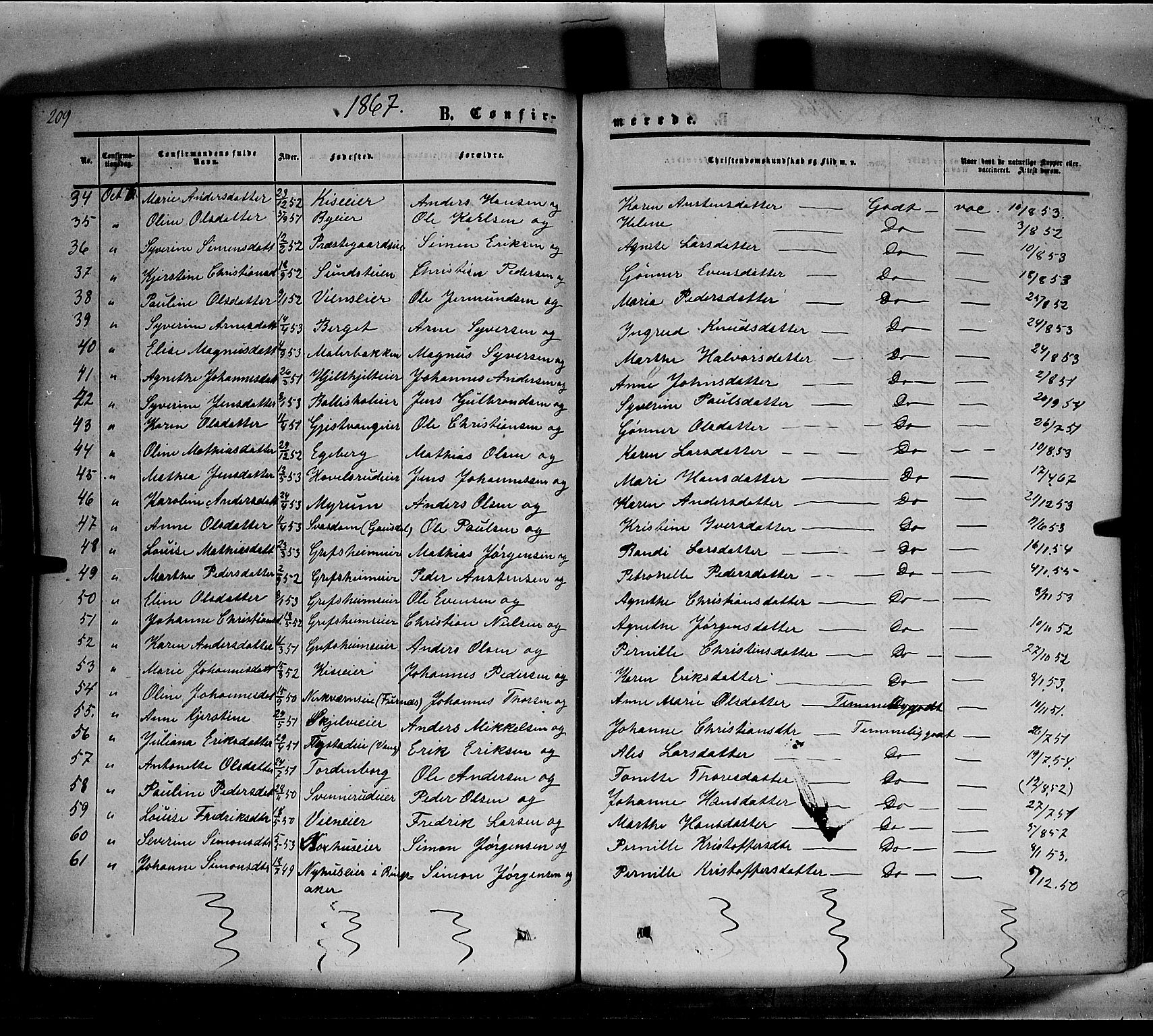 Nes prestekontor, Hedmark, AV/SAH-PREST-020/K/Ka/L0004: Parish register (official) no. 4, 1852-1886, p. 209