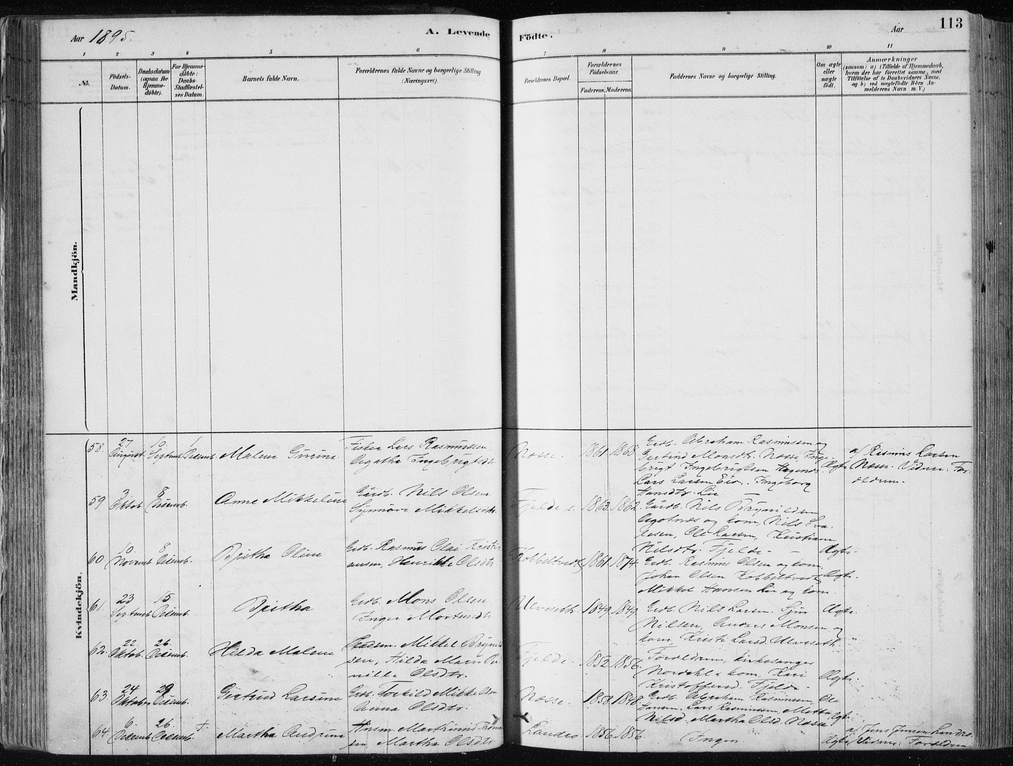 Fjell sokneprestembete, SAB/A-75301/H/Haa: Parish register (official) no. A  8, 1878-1898, p. 113