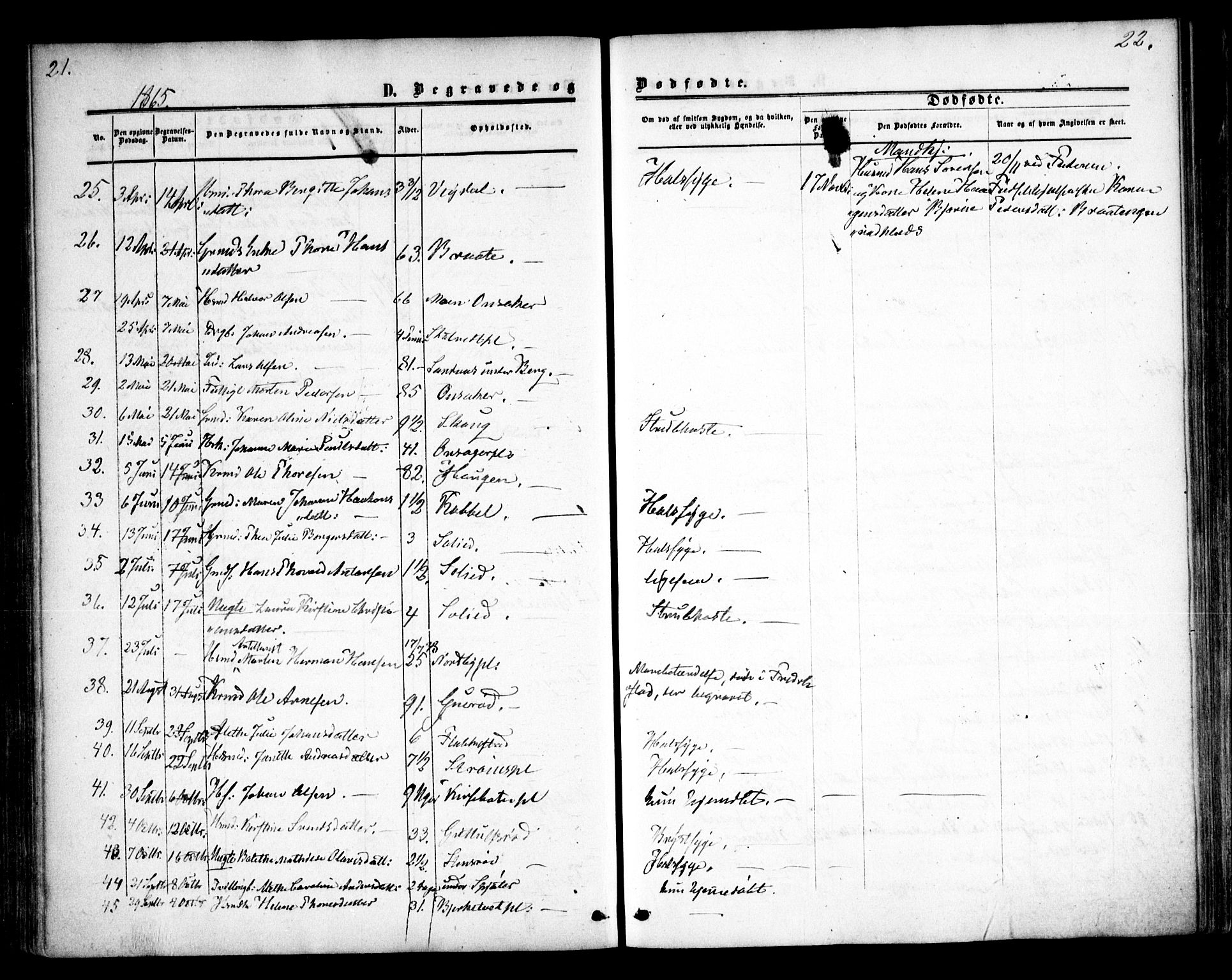 Våler prestekontor Kirkebøker, SAO/A-11083/F/Fa/L0008: Parish register (official) no. I 8, 1862-1876, p. 21-22