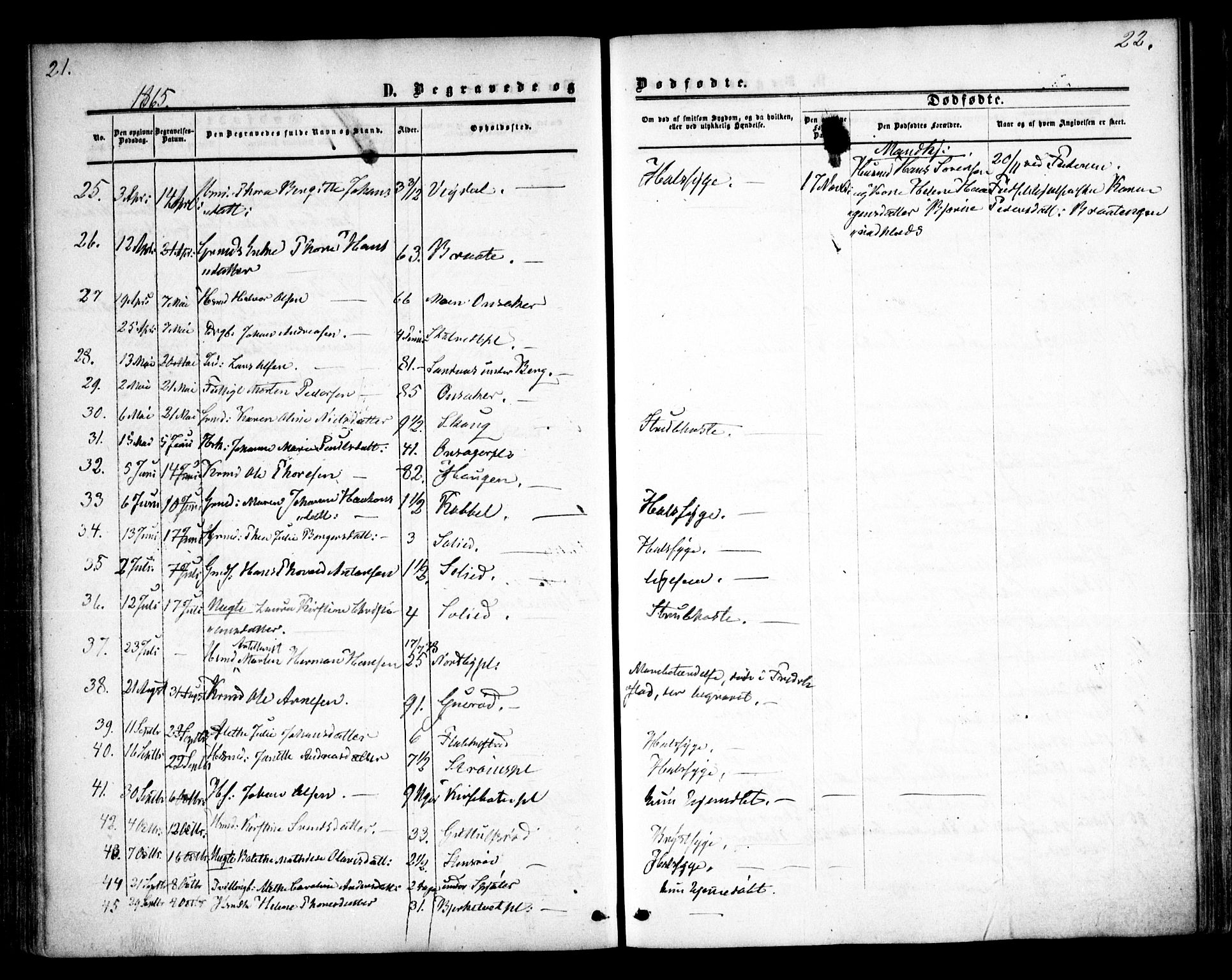 Våler prestekontor Kirkebøker, AV/SAO-A-11083/F/Fa/L0008: Parish register (official) no. I 8, 1862-1876, p. 21-22