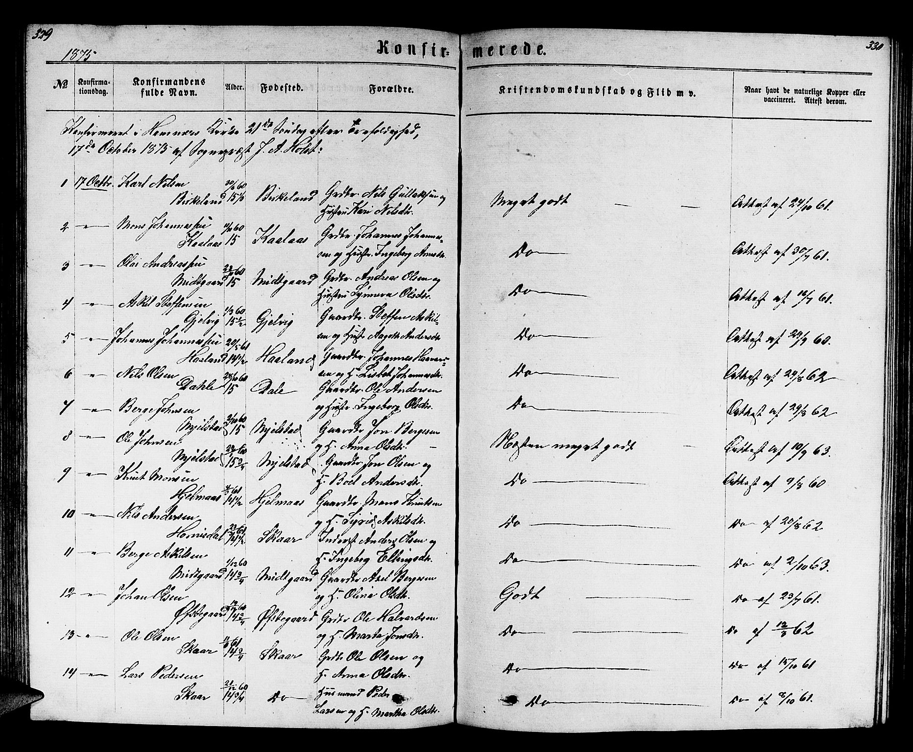 Hamre sokneprestembete, SAB/A-75501/H/Ha/Hab: Parish register (copy) no. B 2, 1863-1880, p. 329-330