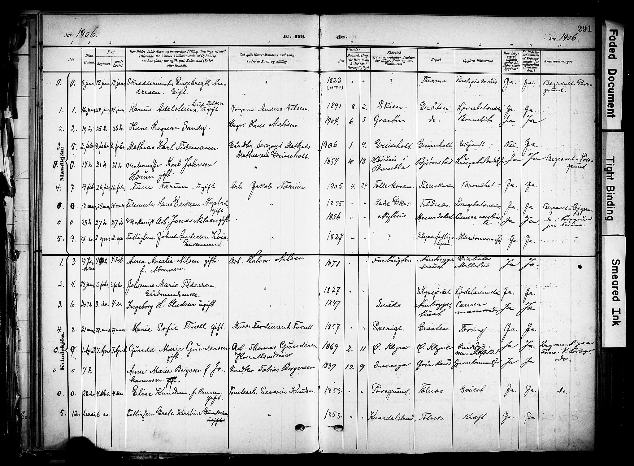 Solum kirkebøker, SAKO/A-306/F/Fa/L0011: Parish register (official) no. I 11, 1898-1909, p. 291