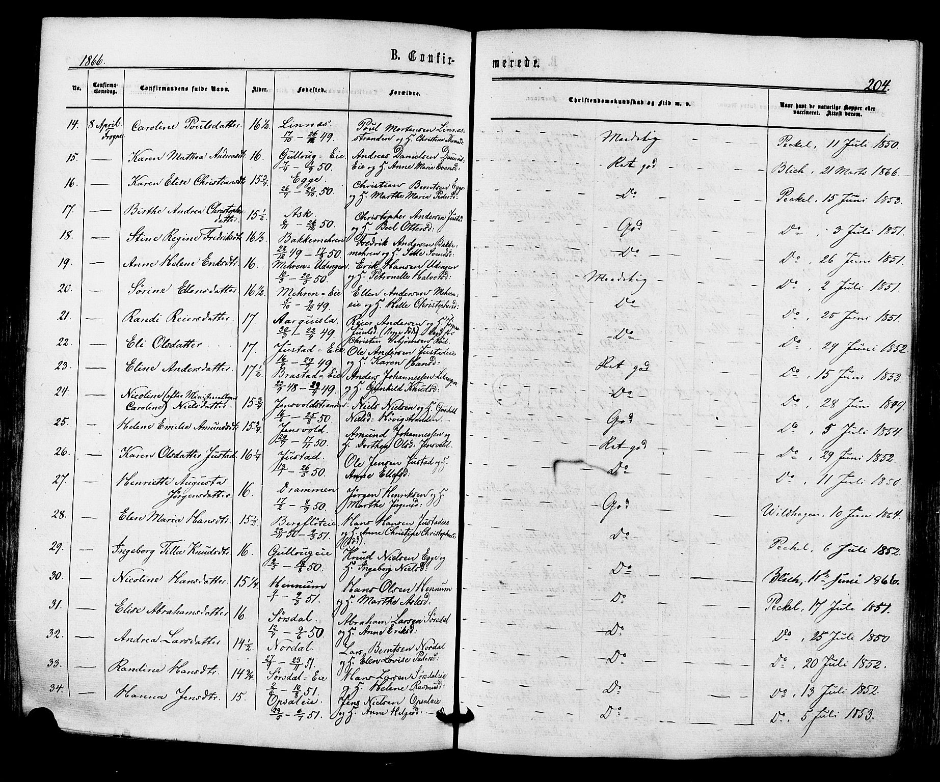Lier kirkebøker, SAKO/A-230/F/Fa/L0013: Parish register (official) no. I 13, 1865-1874, p. 204