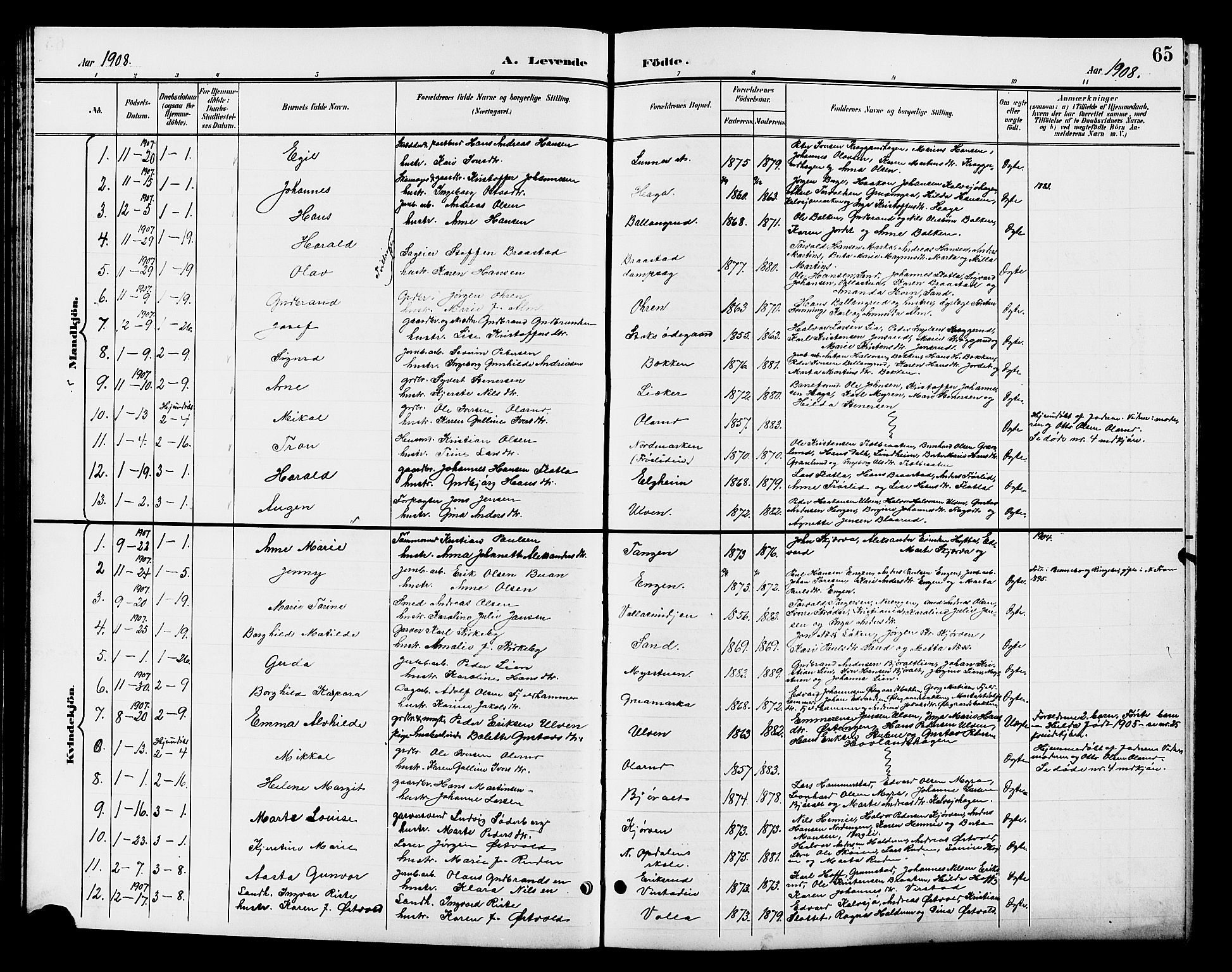 Jevnaker prestekontor, SAH/PREST-116/H/Ha/Hab/L0003: Parish register (copy) no. 3, 1896-1909, p. 65