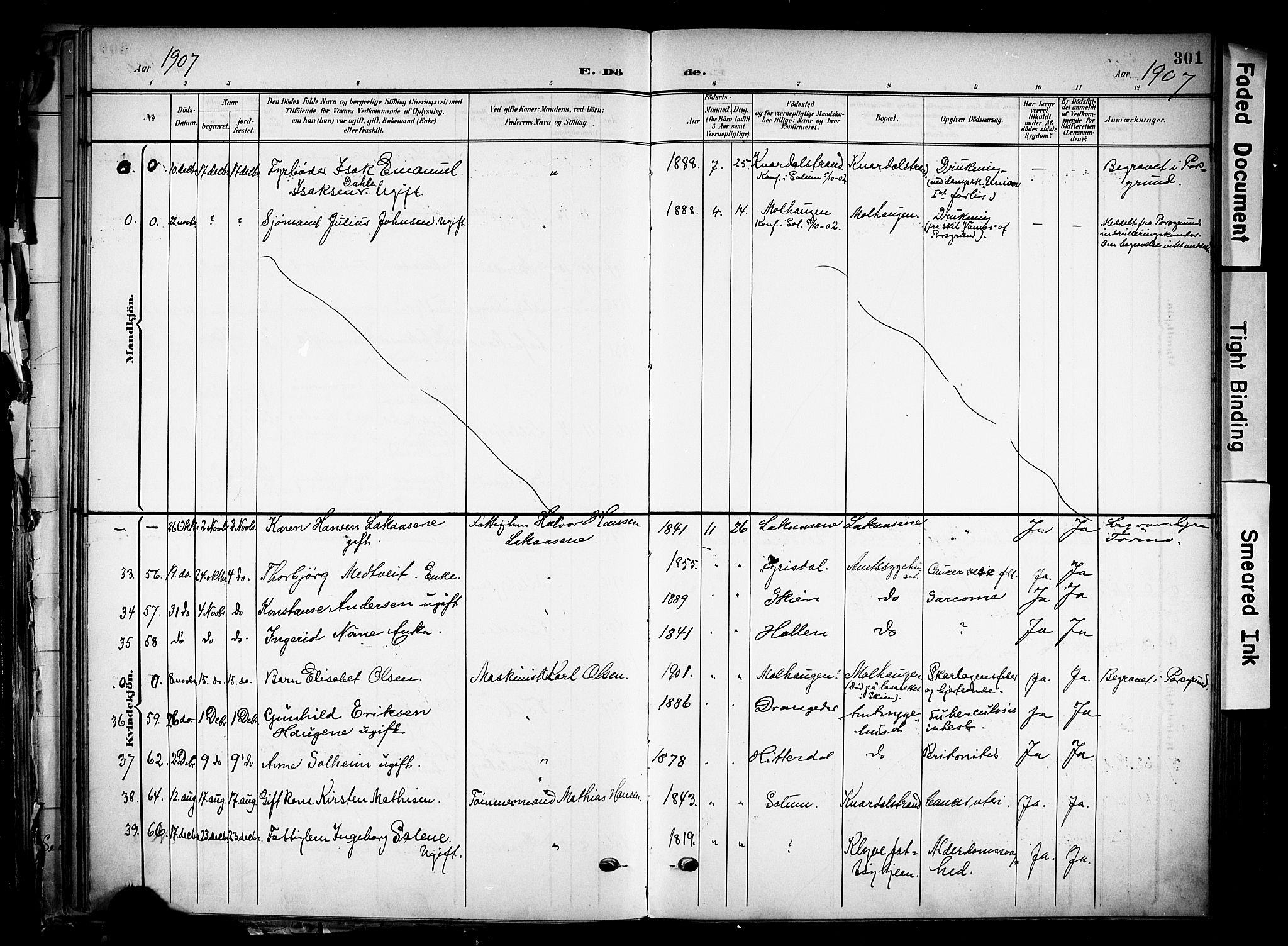 Solum kirkebøker, SAKO/A-306/F/Fa/L0011: Parish register (official) no. I 11, 1898-1909, p. 301