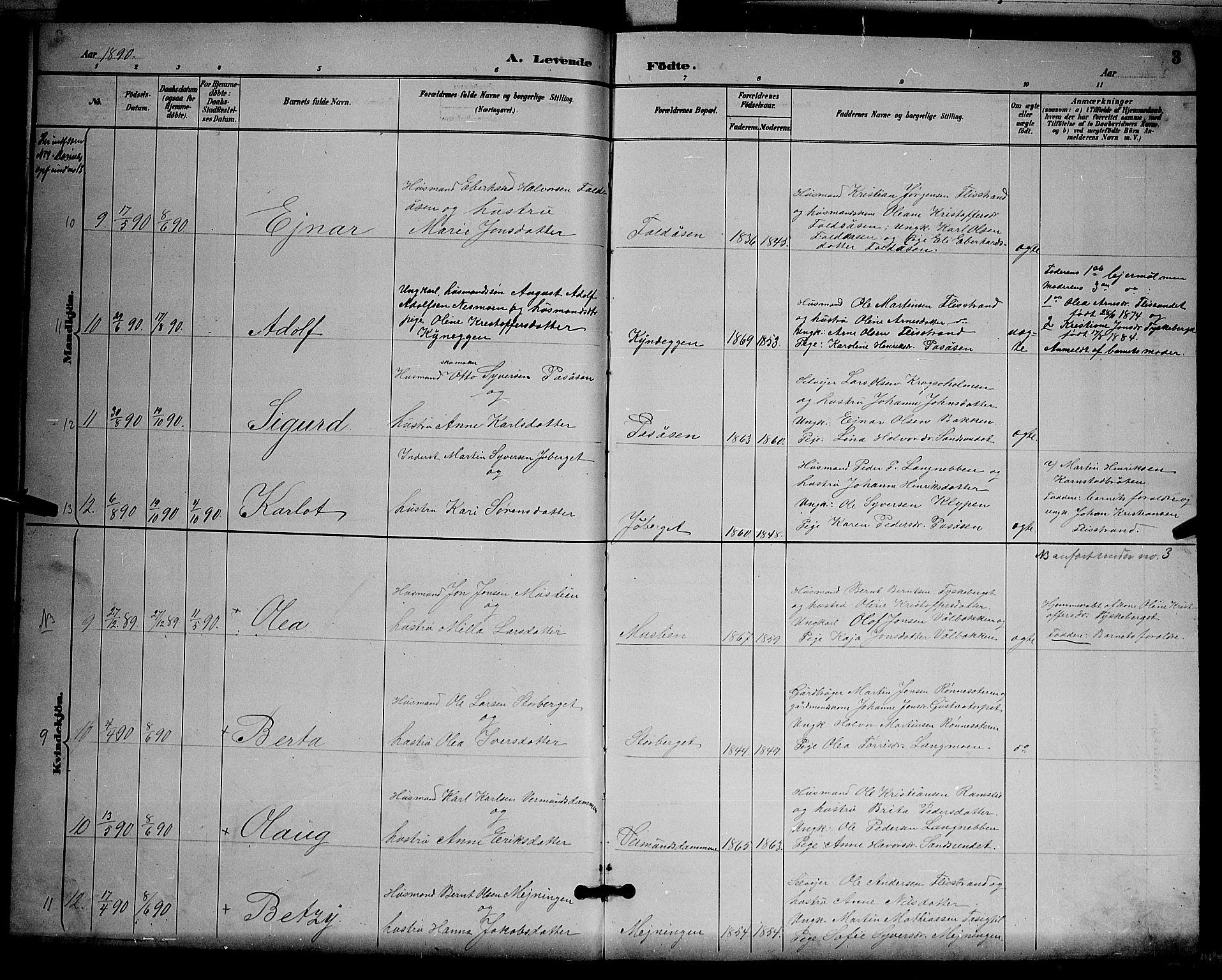 Åsnes prestekontor, AV/SAH-PREST-042/H/Ha/Hab/L0003: Parish register (copy) no. 3, 1890-1902, p. 3