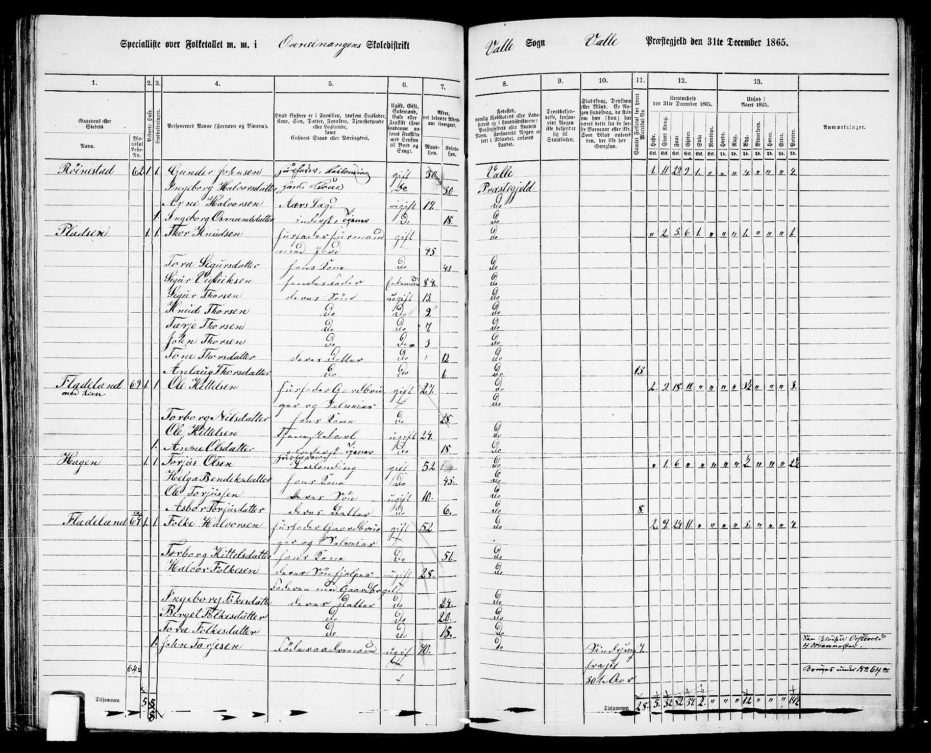 RA, 1865 census for Valle, 1865, p. 60