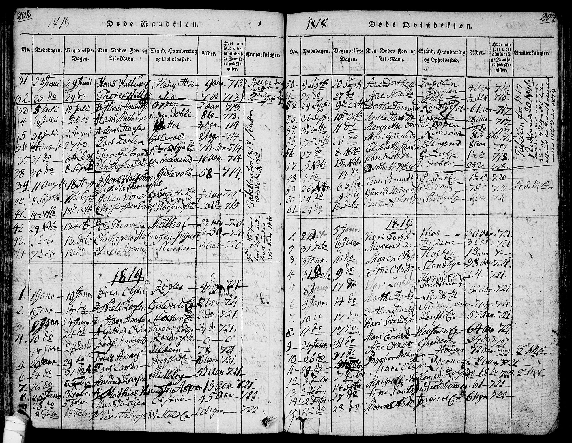 Ullensaker prestekontor Kirkebøker, AV/SAO-A-10236a/F/Fa/L0013: Parish register (official) no. I 13, 1815-1835, p. 206-207