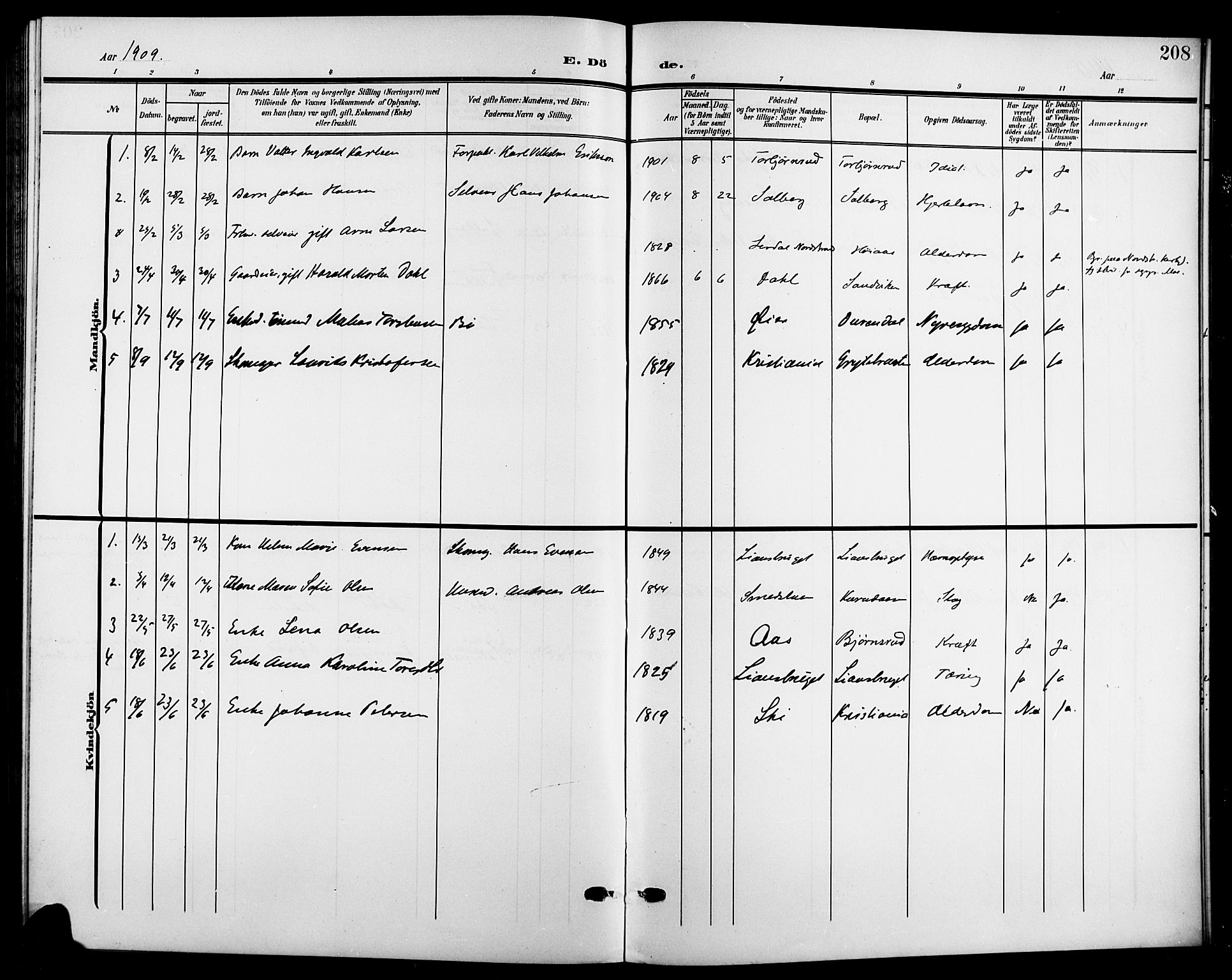 Nesodden prestekontor Kirkebøker, SAO/A-10013/G/Gb/L0001: Parish register (copy) no. II 1, 1905-1924, p. 208