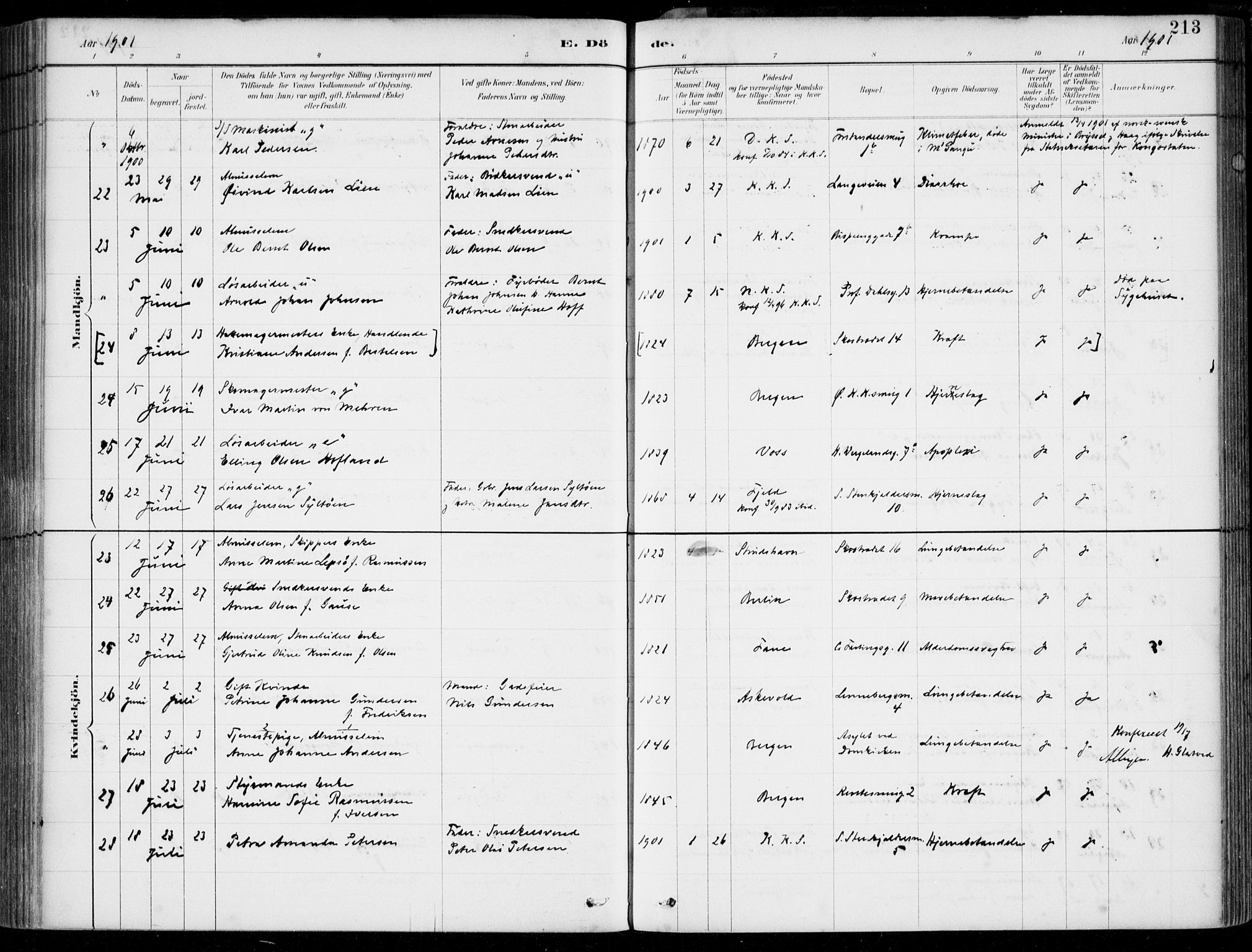 Korskirken sokneprestembete, SAB/A-76101/H/Hab: Parish register (copy) no. E 4, 1884-1910, p. 213
