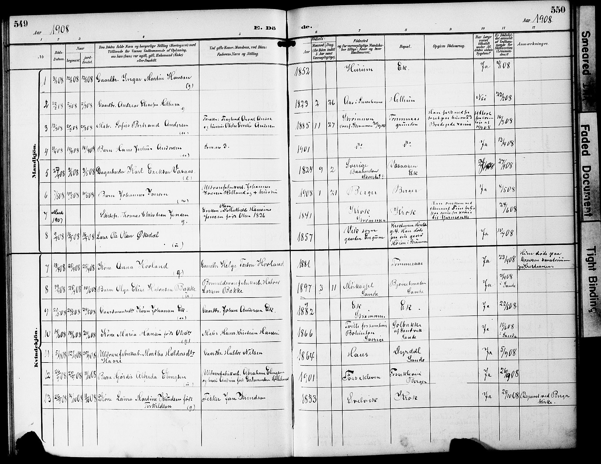 Strømm kirkebøker, AV/SAKO-A-322/G/Ga/L0004: Parish register (copy) no. I 4, 1897-1927, p. 549-550