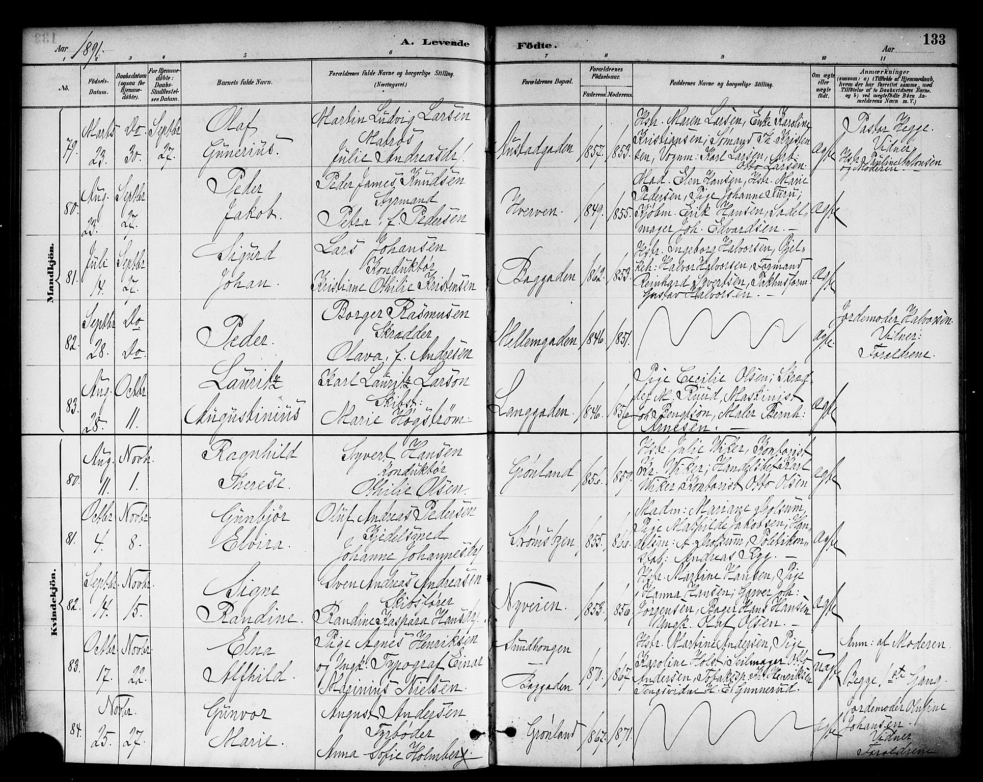 Strømsø kirkebøker, AV/SAKO-A-246/F/Fa/L0023: Parish register (official) no. I 23, 1885-1894, p. 133