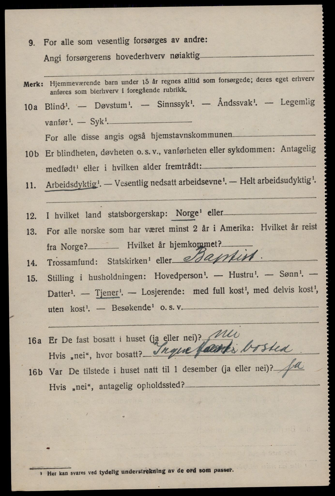 SAKO, 1920 census for Nissedal, 1920, p. 4390