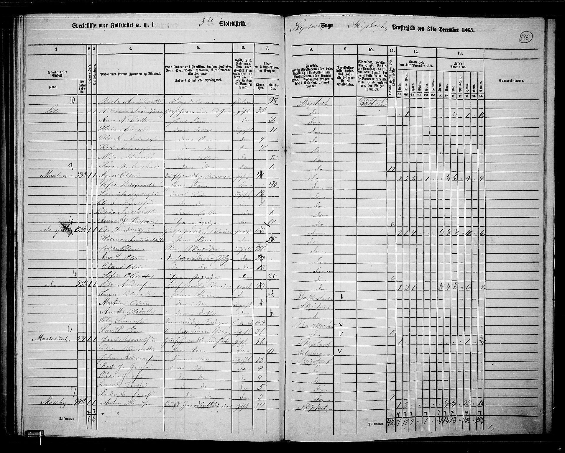 RA, 1865 census for Skiptvet, 1865, p. 118