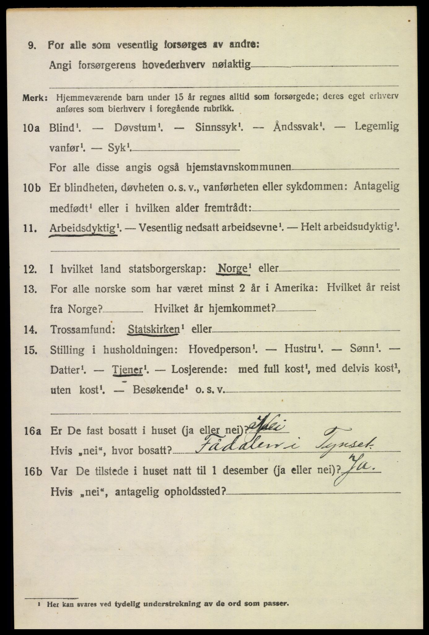 SAH, 1920 census for Tynset, 1920, p. 3171