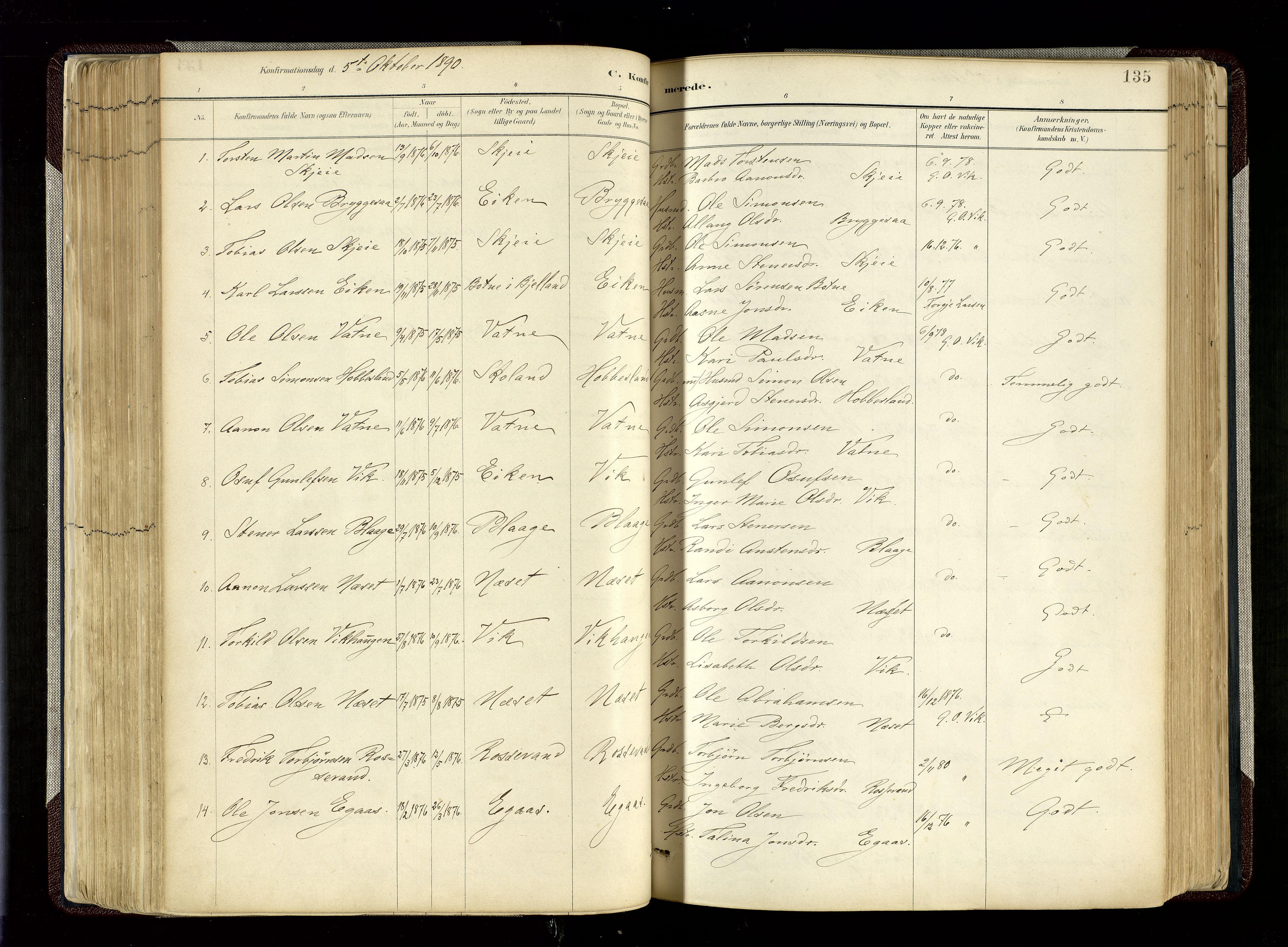 Hægebostad sokneprestkontor, SAK/1111-0024/F/Fa/Fab/L0004: Parish register (official) no. A 4, 1887-1929, p. 135