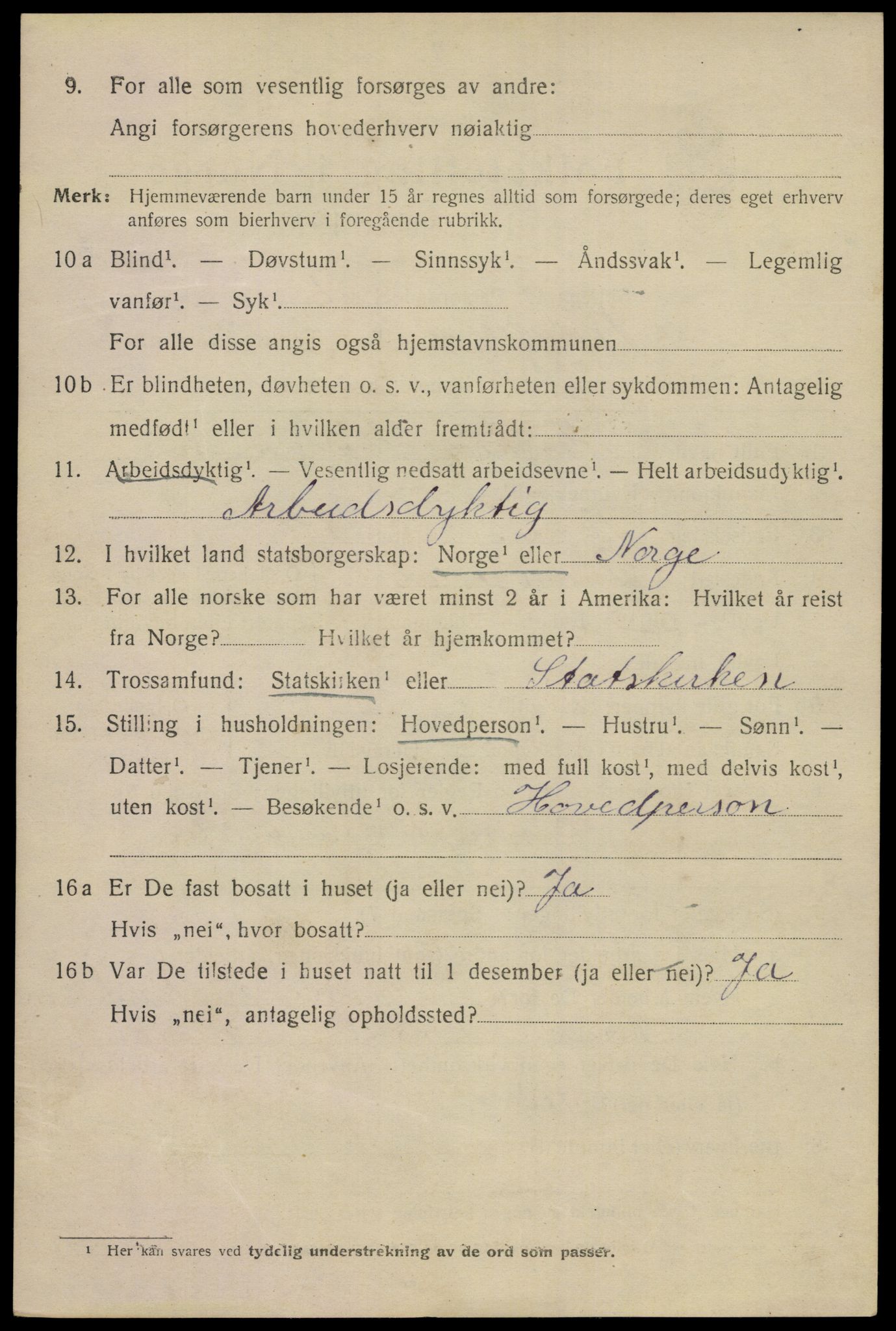 SAKO, 1920 census for Porsgrunn, 1920, p. 19904