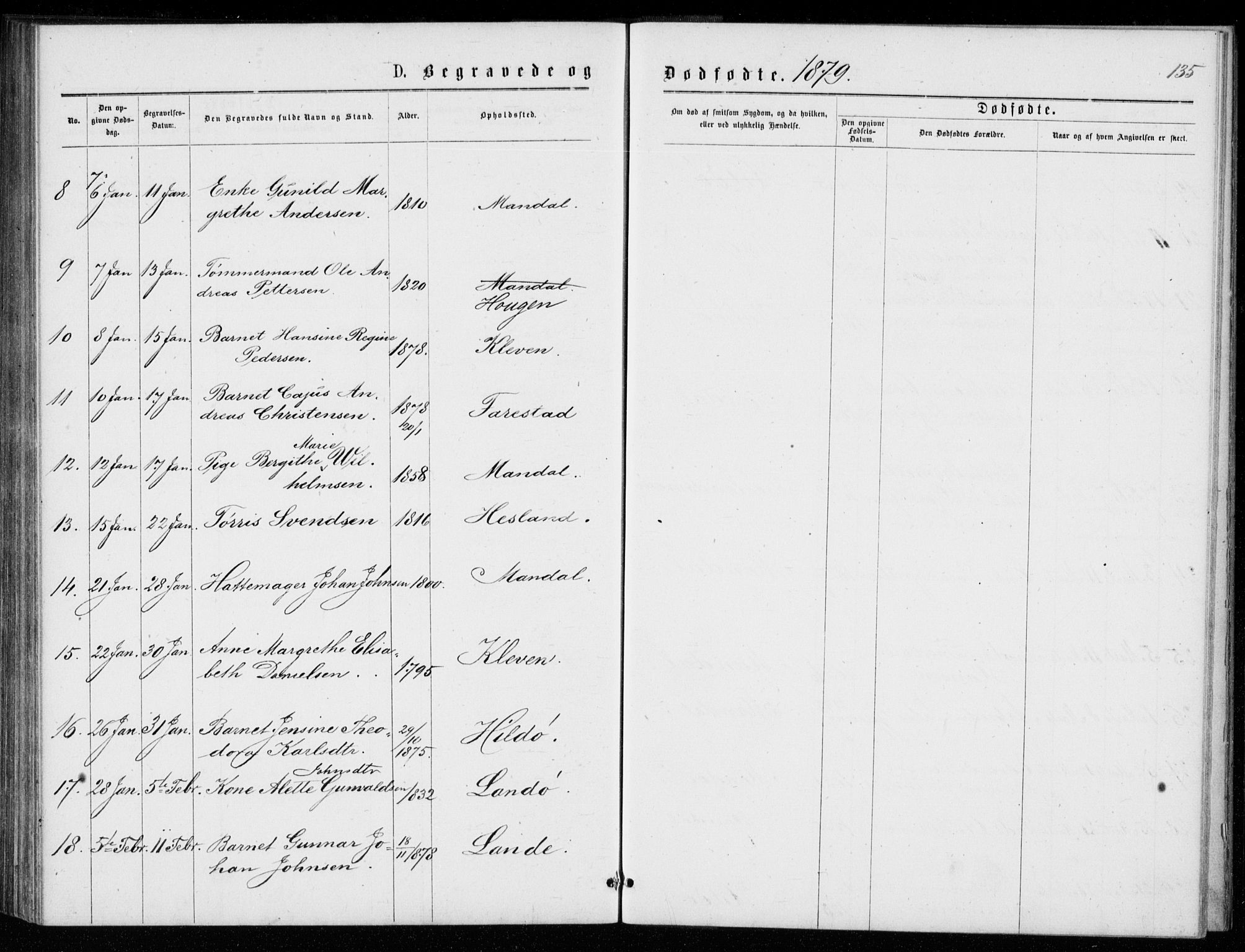 Mandal sokneprestkontor, AV/SAK-1111-0030/F/Fb/Fba/L0010: Parish register (copy) no. B 4, 1876-1880, p. 135