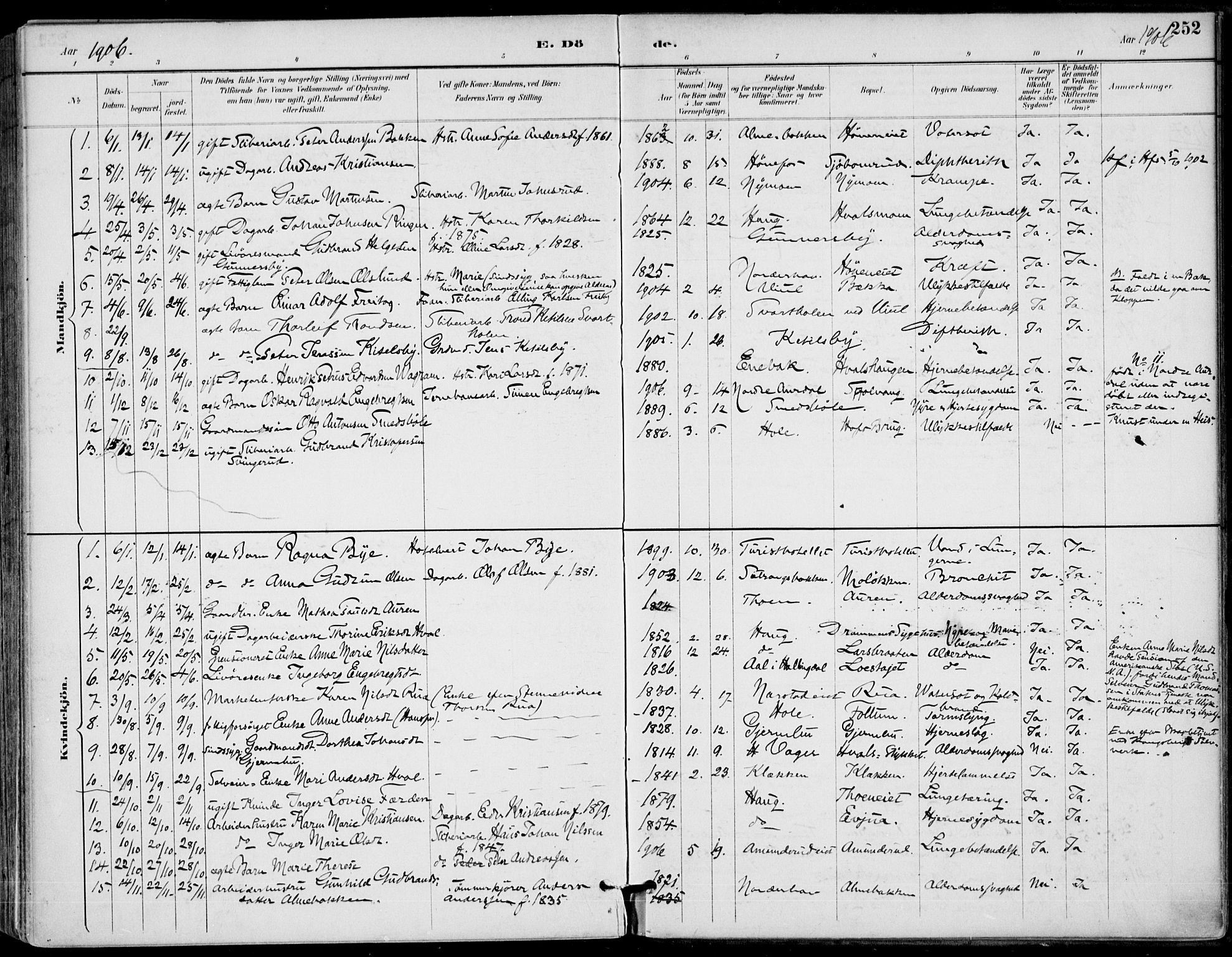 Haug kirkebøker, AV/SAKO-A-604/F/Fa/L0001: Parish register (official) no. 1, 1885-1917, p. 252