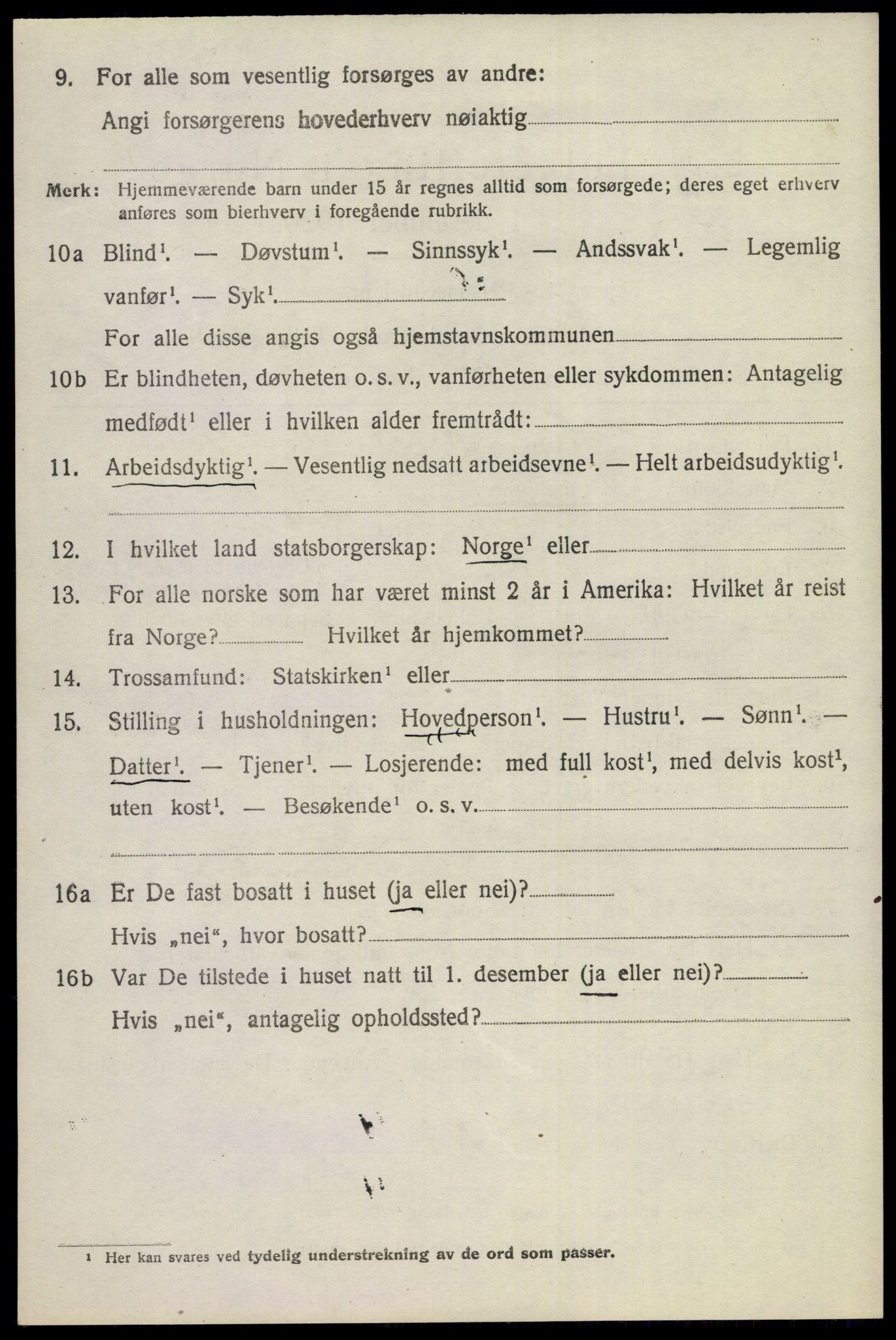 SAKO, 1920 census for Nes (Buskerud), 1920, p. 1483