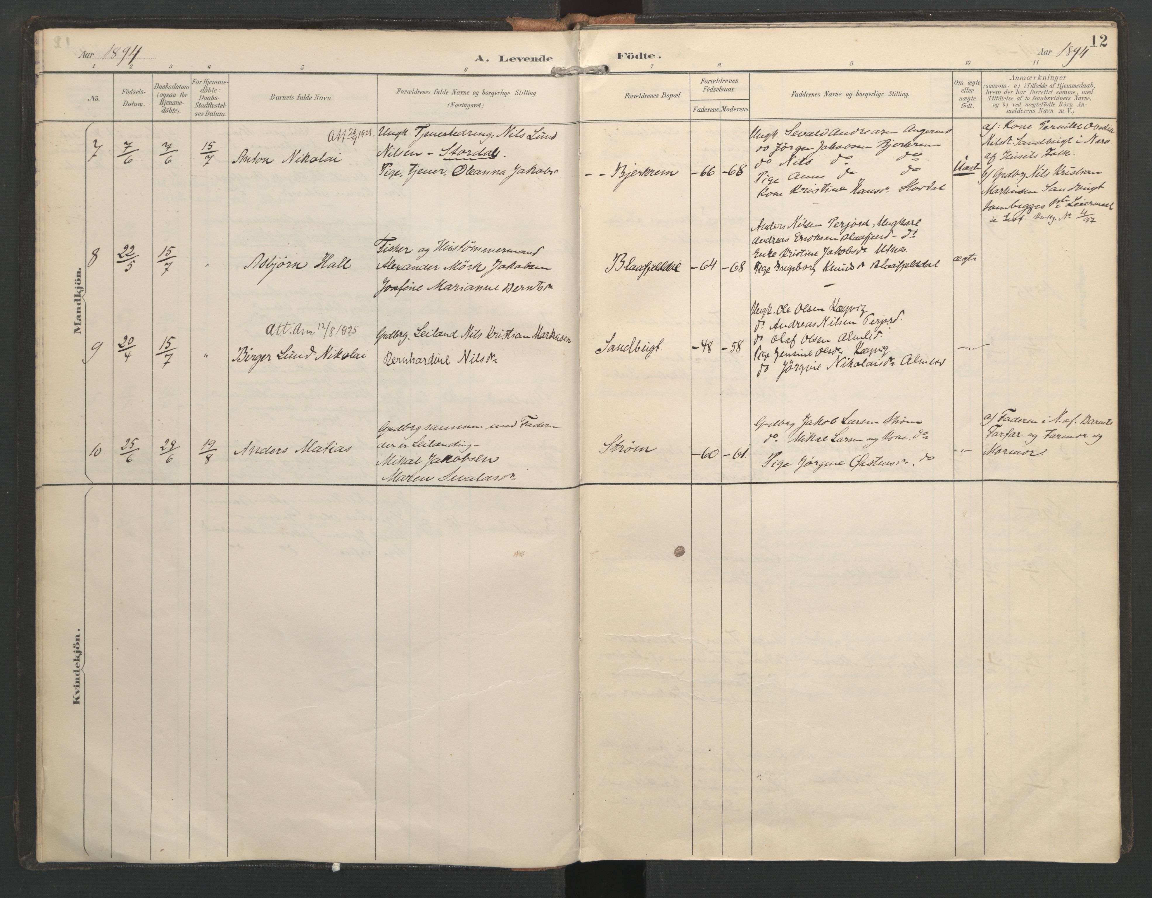 Ministerialprotokoller, klokkerbøker og fødselsregistre - Nordland, SAT/A-1459/821/L0317: Parish register (official) no. 821A01, 1892-1907, p. 12