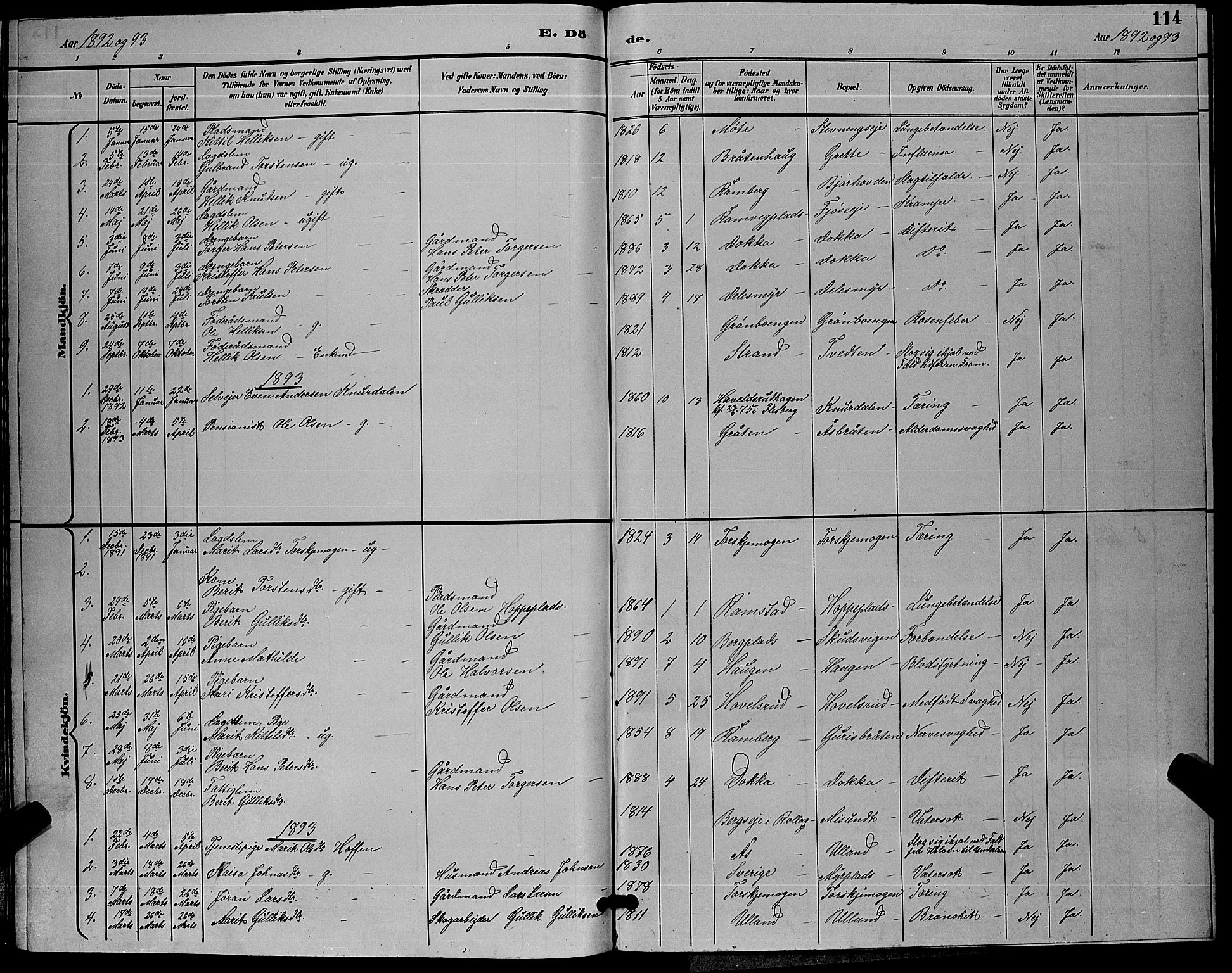 Flesberg kirkebøker, SAKO/A-18/G/Ga/L0004: Parish register (copy) no. I 4 /2, 1890-1898, p. 114
