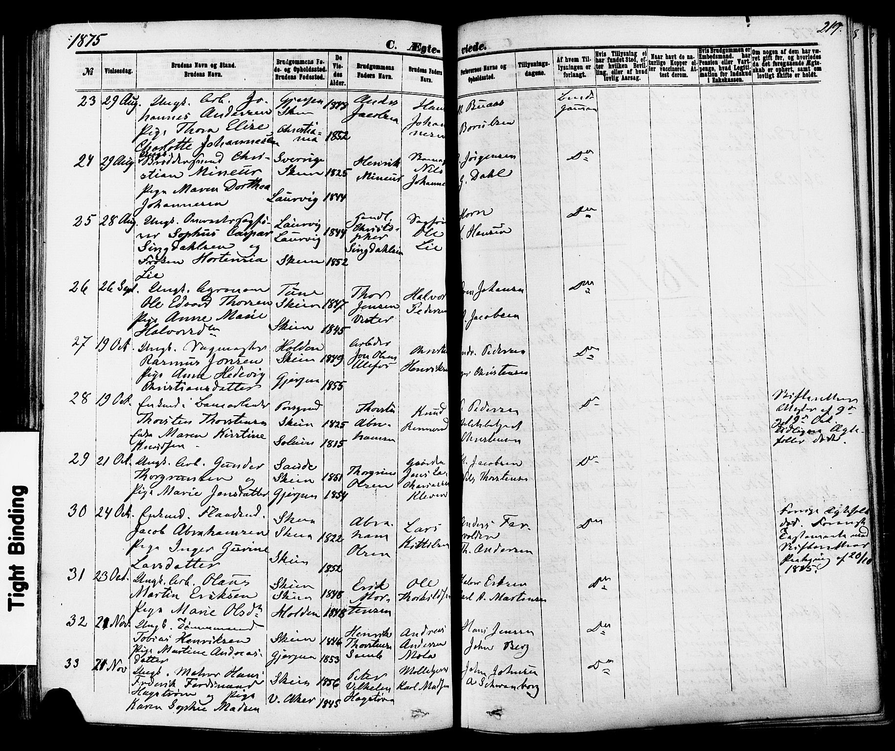 Skien kirkebøker, SAKO/A-302/F/Fa/L0008: Parish register (official) no. 8, 1866-1877, p. 219