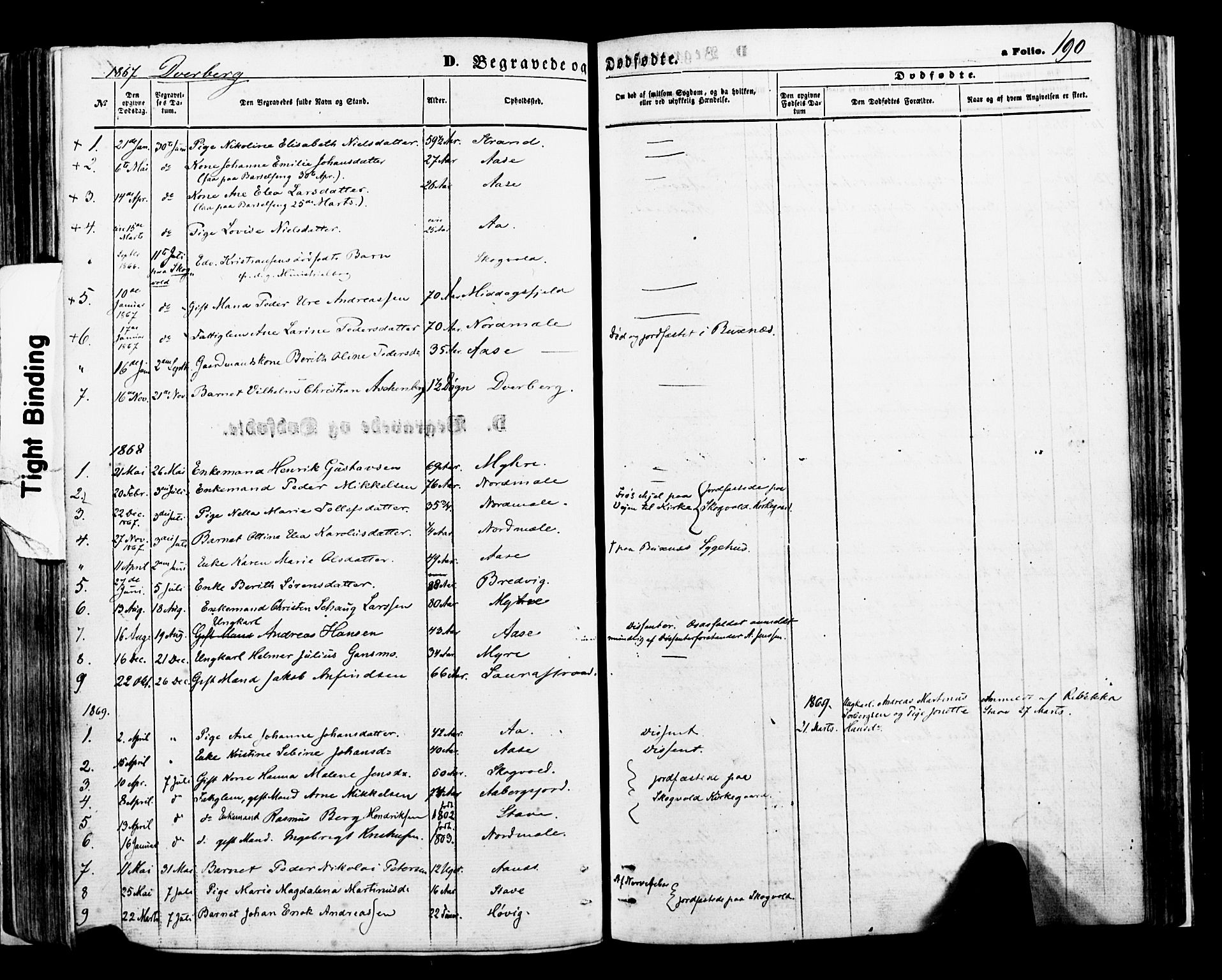 Ministerialprotokoller, klokkerbøker og fødselsregistre - Nordland, SAT/A-1459/897/L1397: Parish register (official) no. 897A05 /1, 1867-1880, p. 190