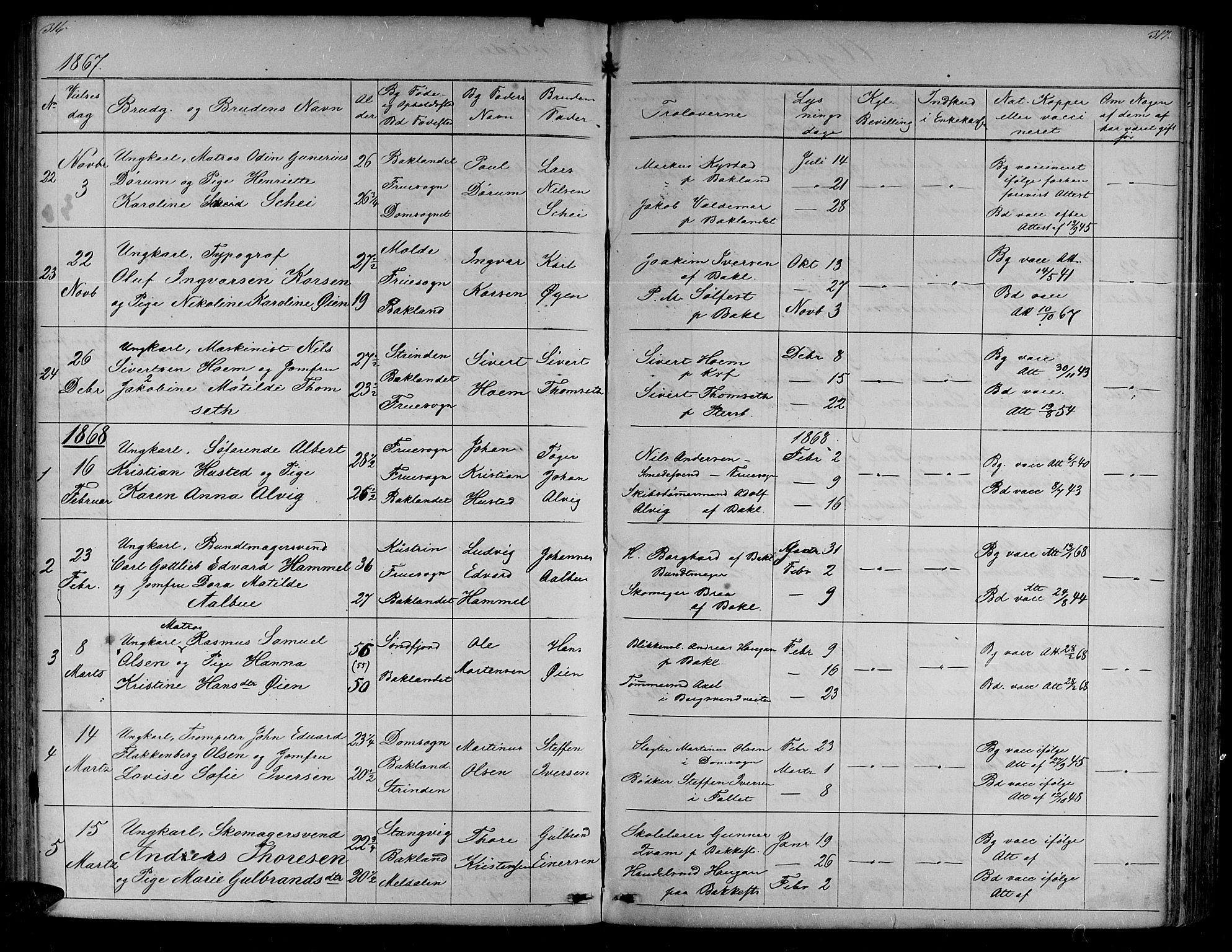 Ministerialprotokoller, klokkerbøker og fødselsregistre - Sør-Trøndelag, SAT/A-1456/604/L0219: Parish register (copy) no. 604C02, 1851-1869, p. 316-317