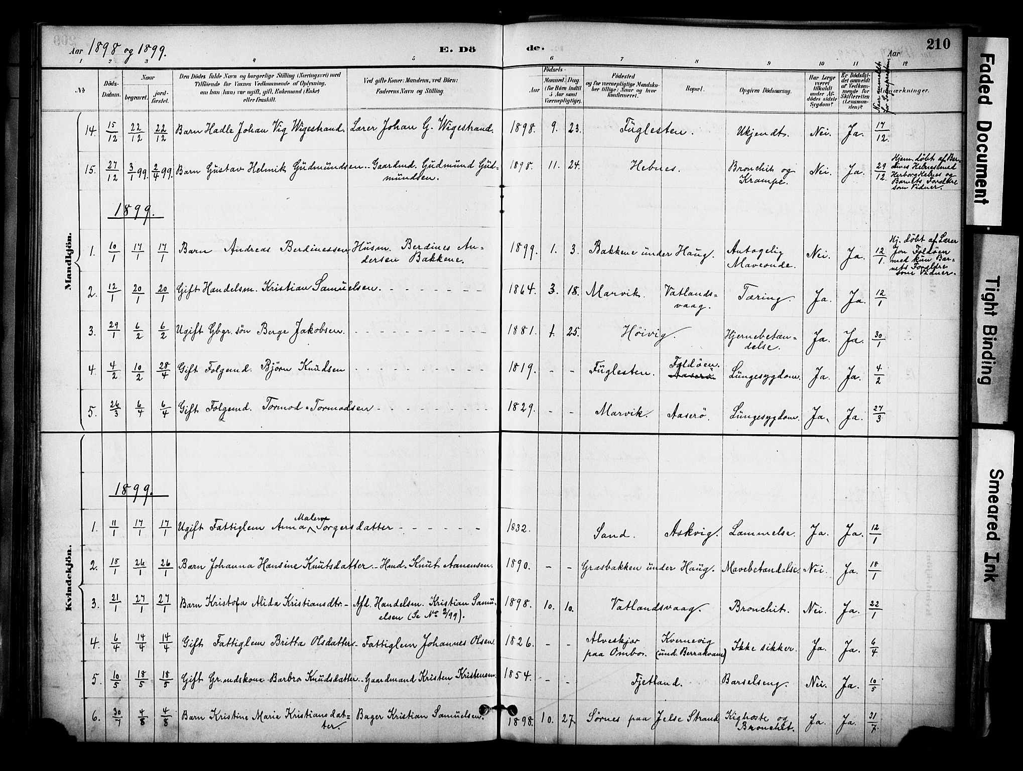 Jelsa sokneprestkontor, SAST/A-101842/01/IV: Parish register (official) no. A 10, 1884-1906, p. 210