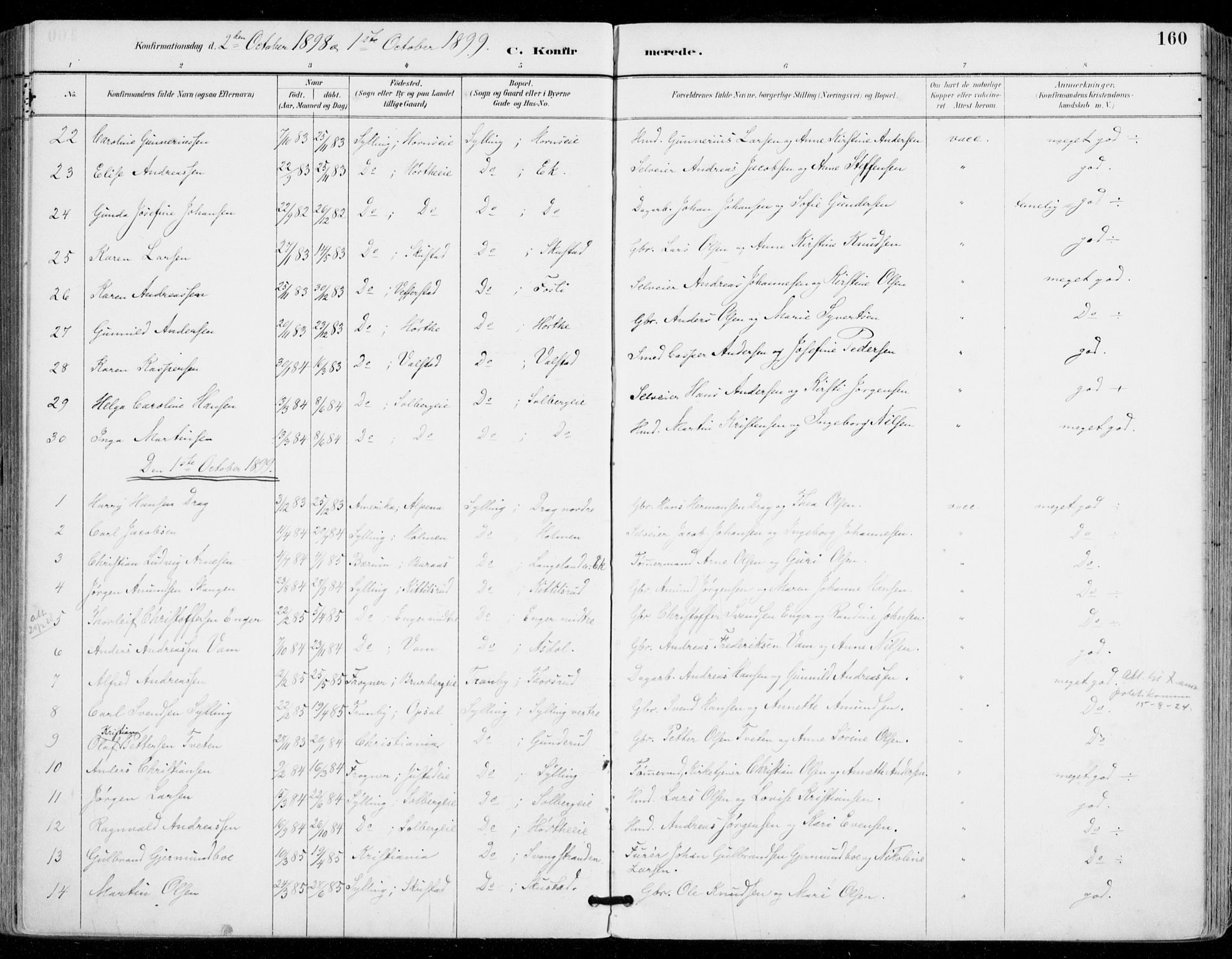 Sylling kirkebøker, SAKO/A-247/F/Fa/L0001: Parish register (official) no. 1, 1883-1910, p. 160