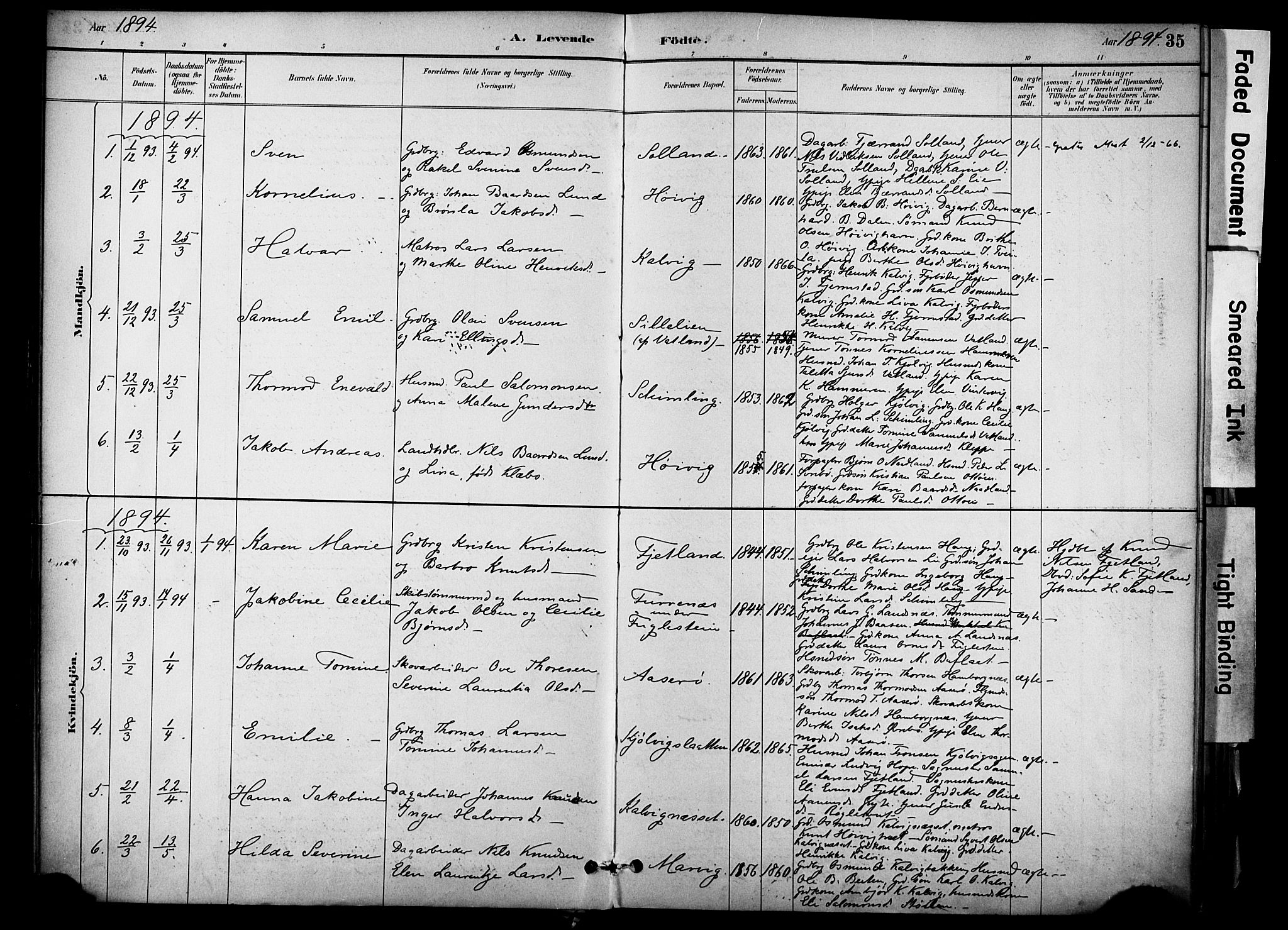 Jelsa sokneprestkontor, AV/SAST-A-101842/01/IV: Parish register (official) no. A 10, 1884-1906, p. 35