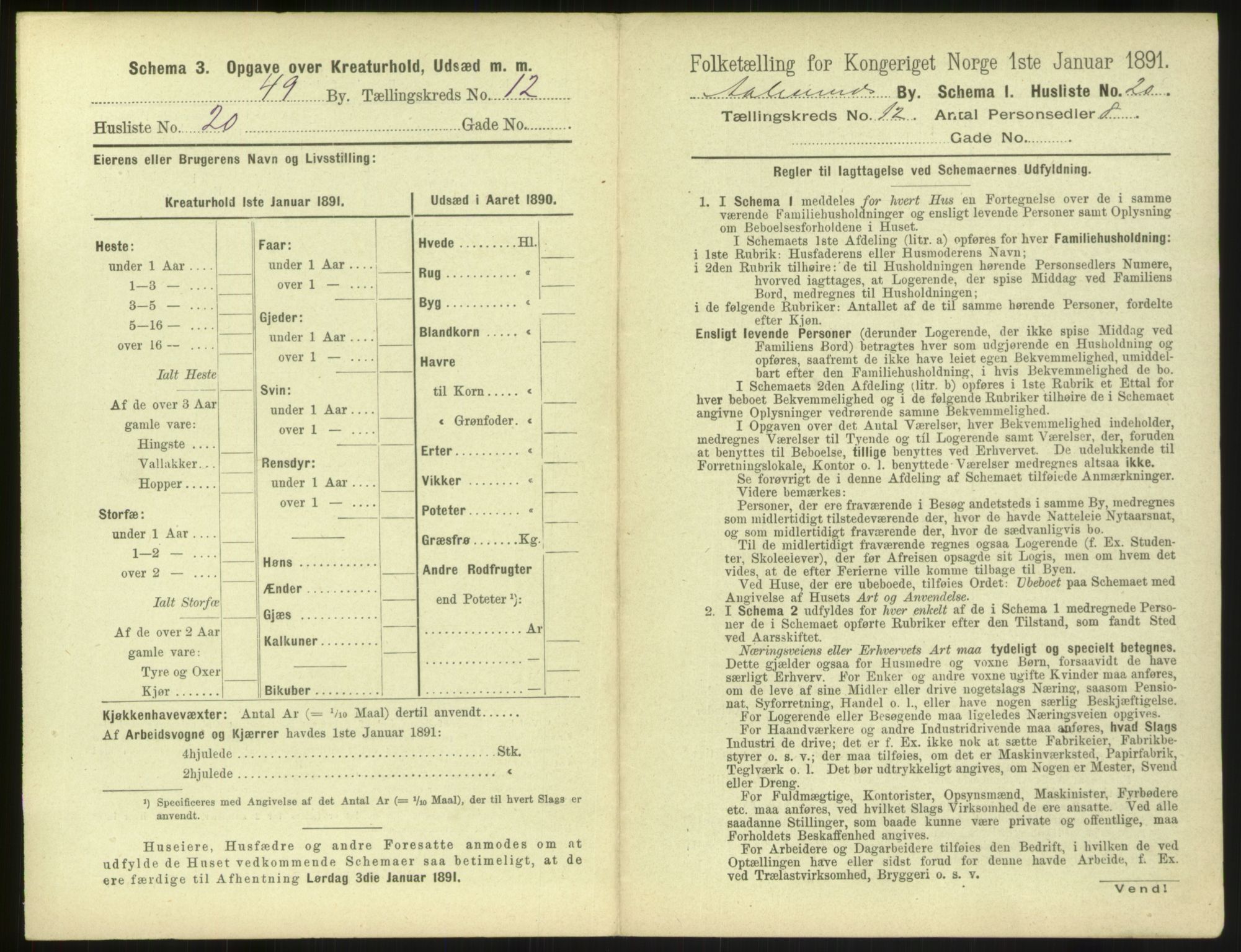 RA, 1891 census for 1501 Ålesund, 1891, p. 902